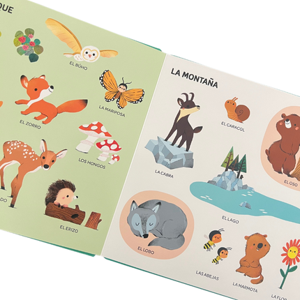 Mis 100 palabras para descubrir el mundo