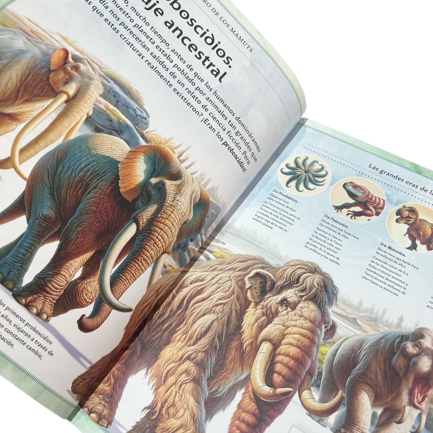 Cuento - El magnífico libro de los mamuts