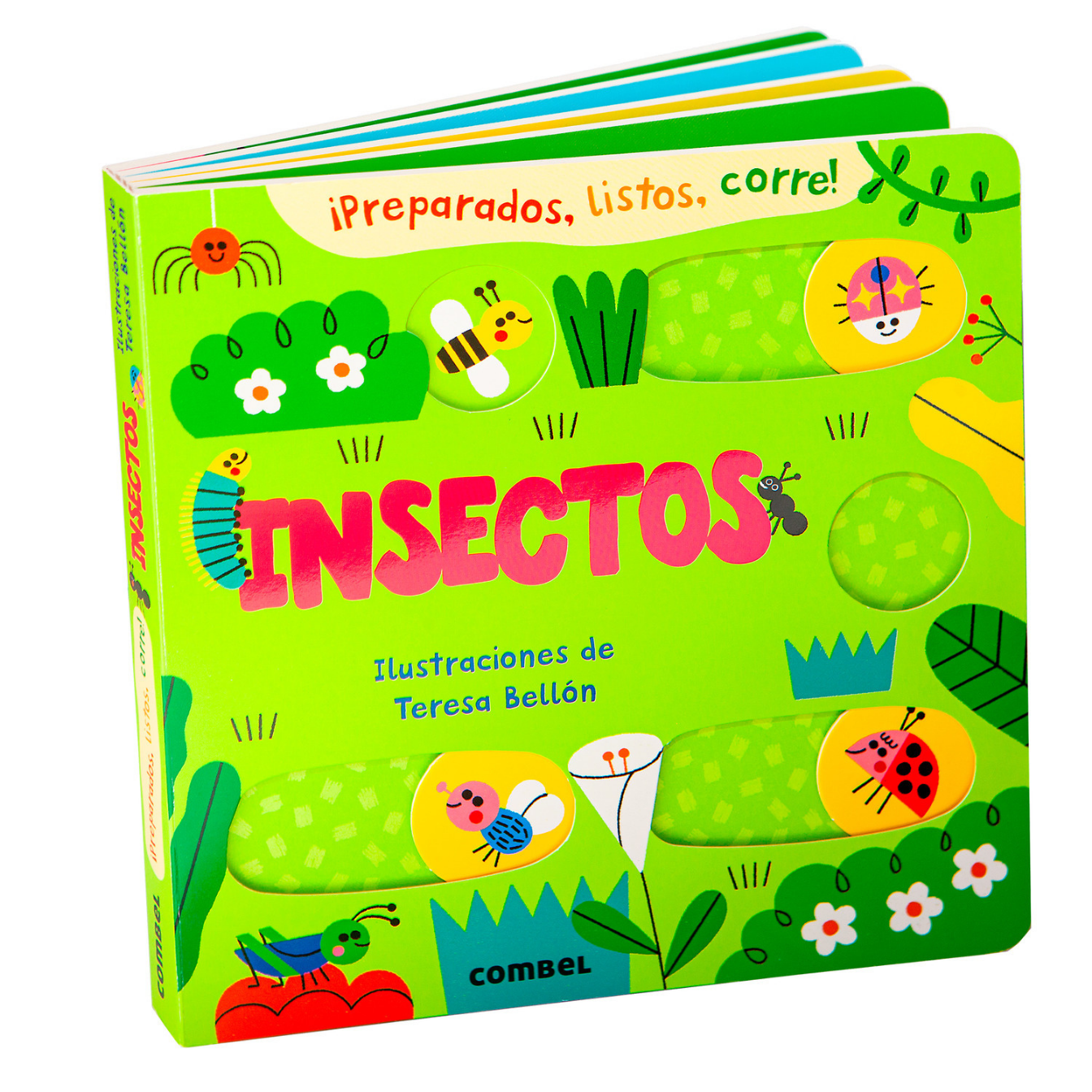 Insects
