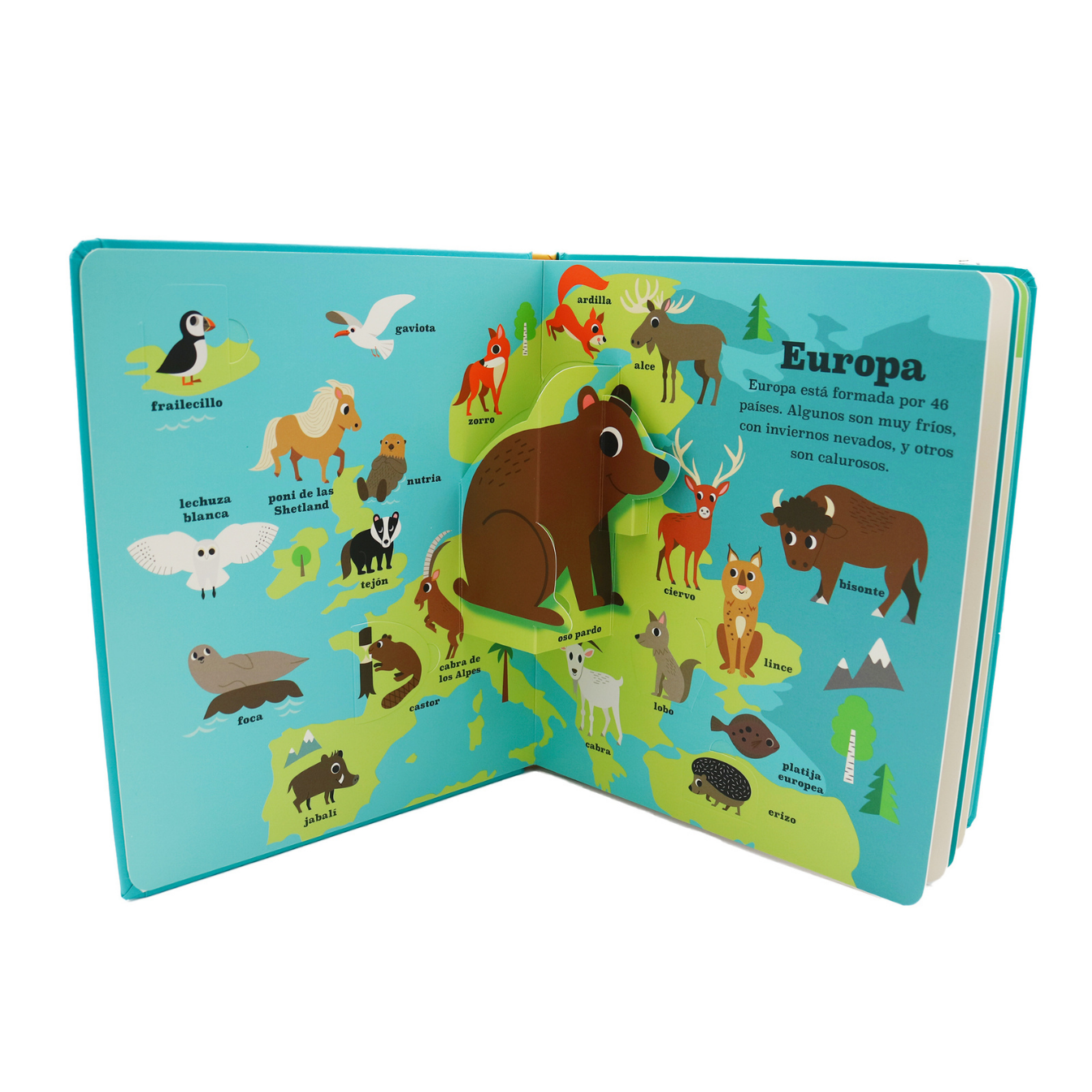 Animal Atlas