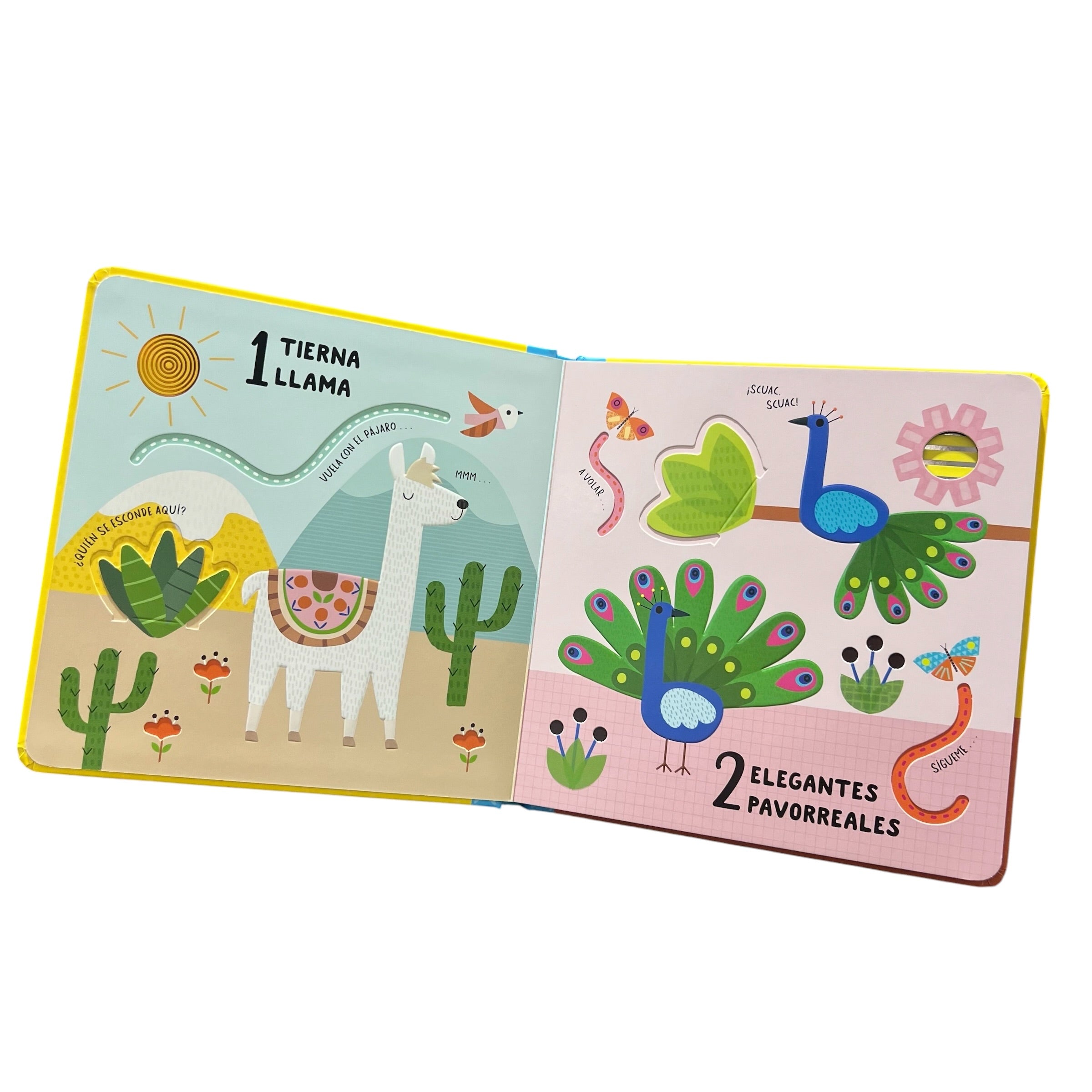 Manitas curiosas - Primeros números