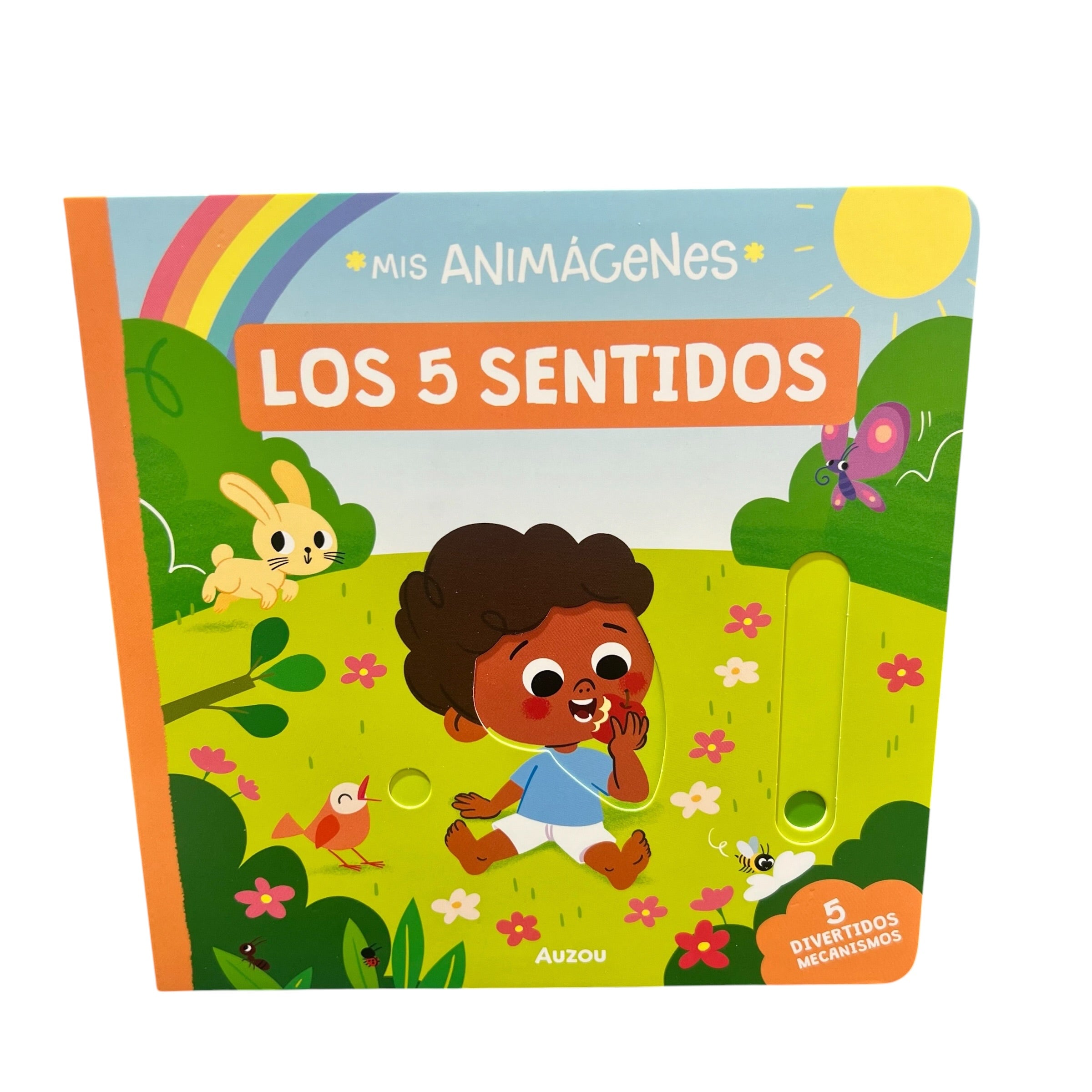 Mis animagenes - 5 sentidos