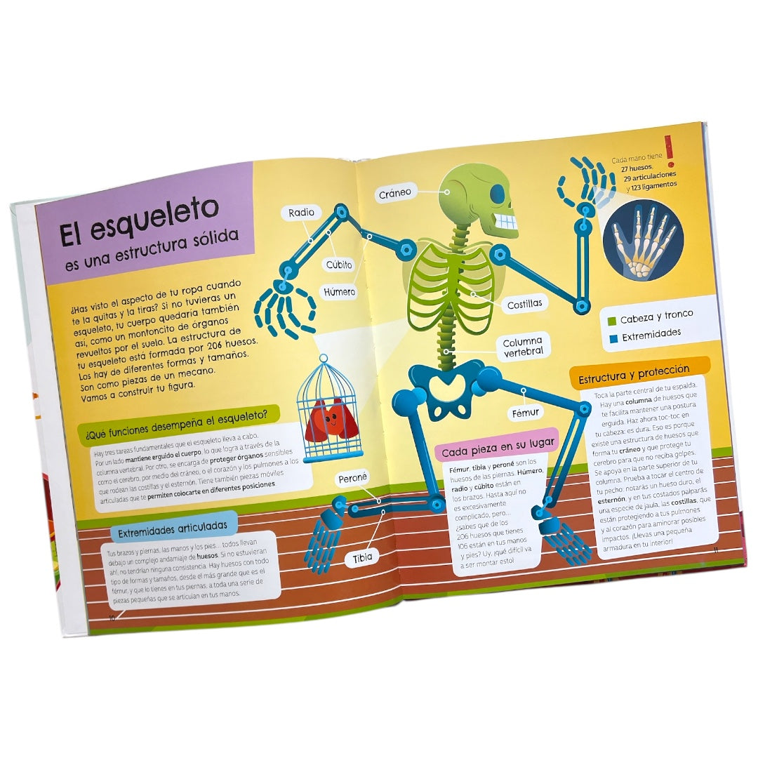 Libro Recorre el Cuerpo Humano