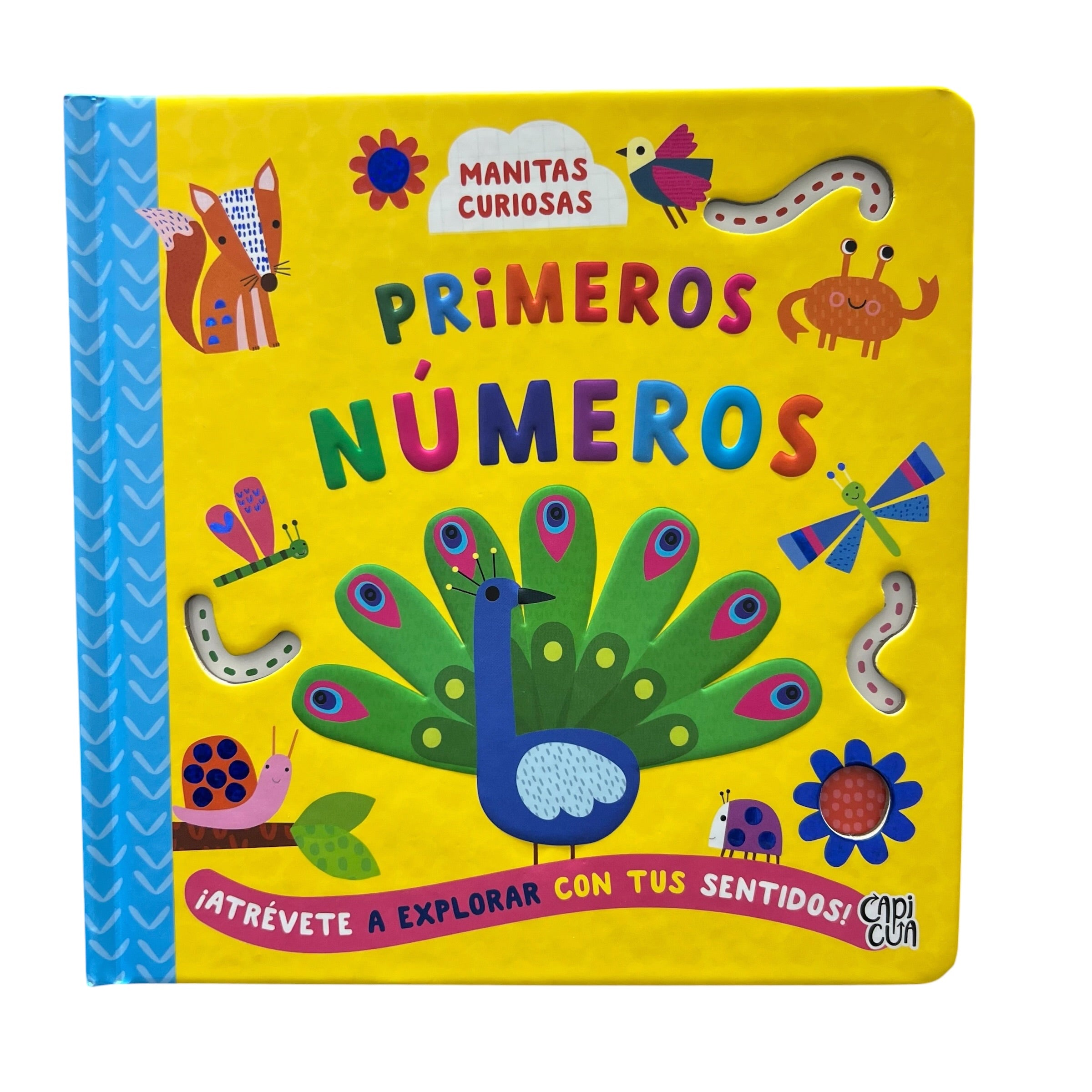 Manitas curiosas - Primeros números
