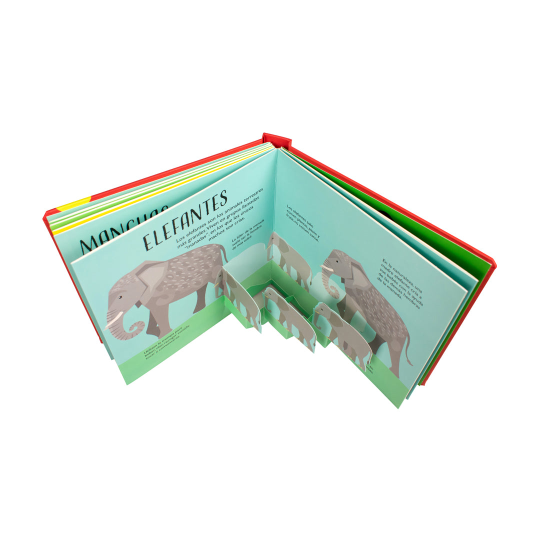 Cuento POP UP - Animales Salvajes