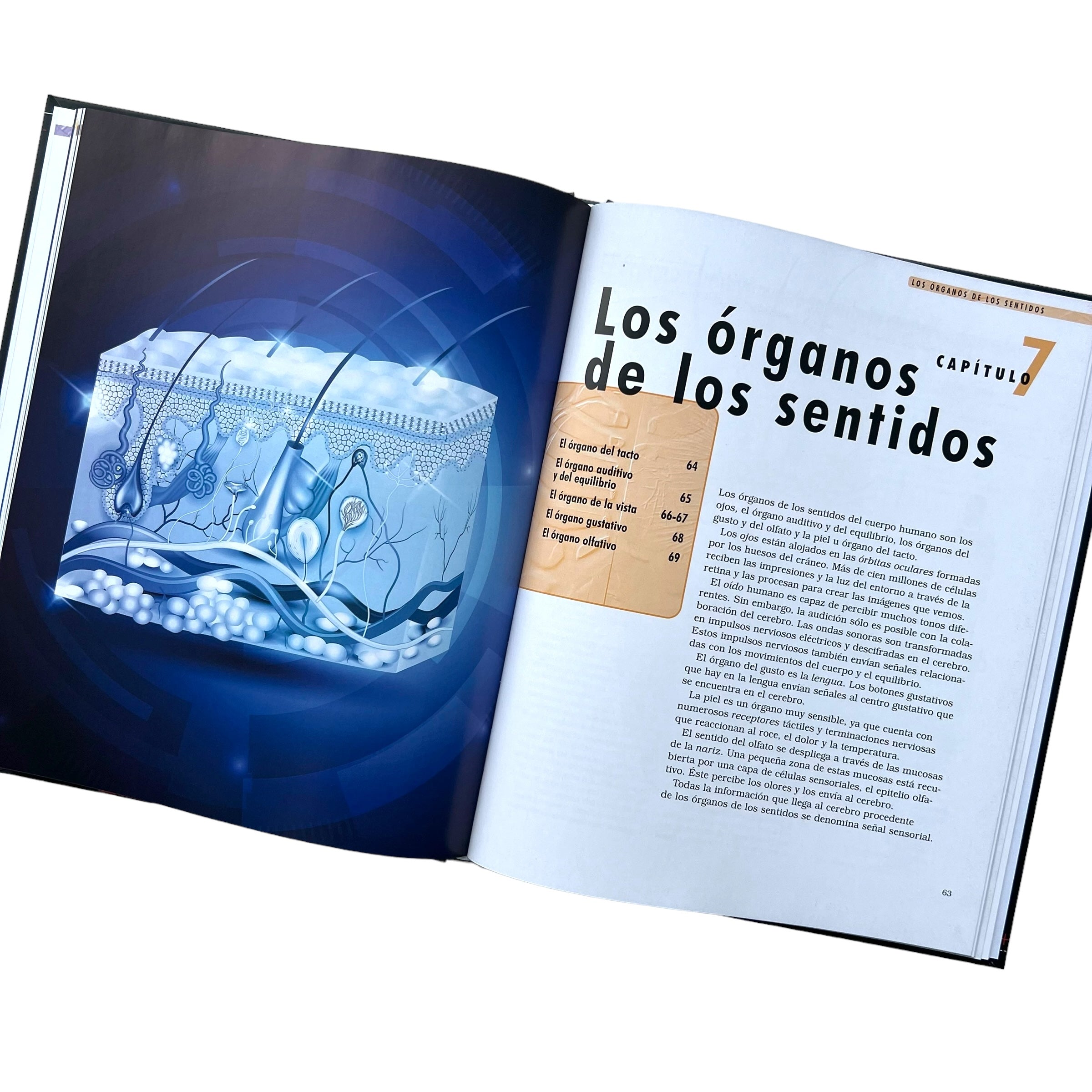 Libro Enciclopedia del conocimiento