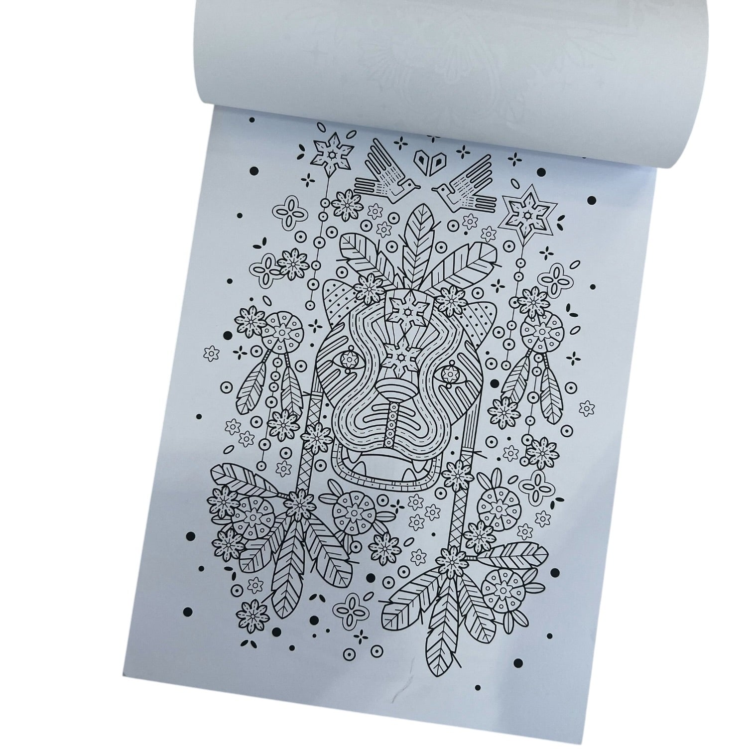 #Coloreanding COLLECTION