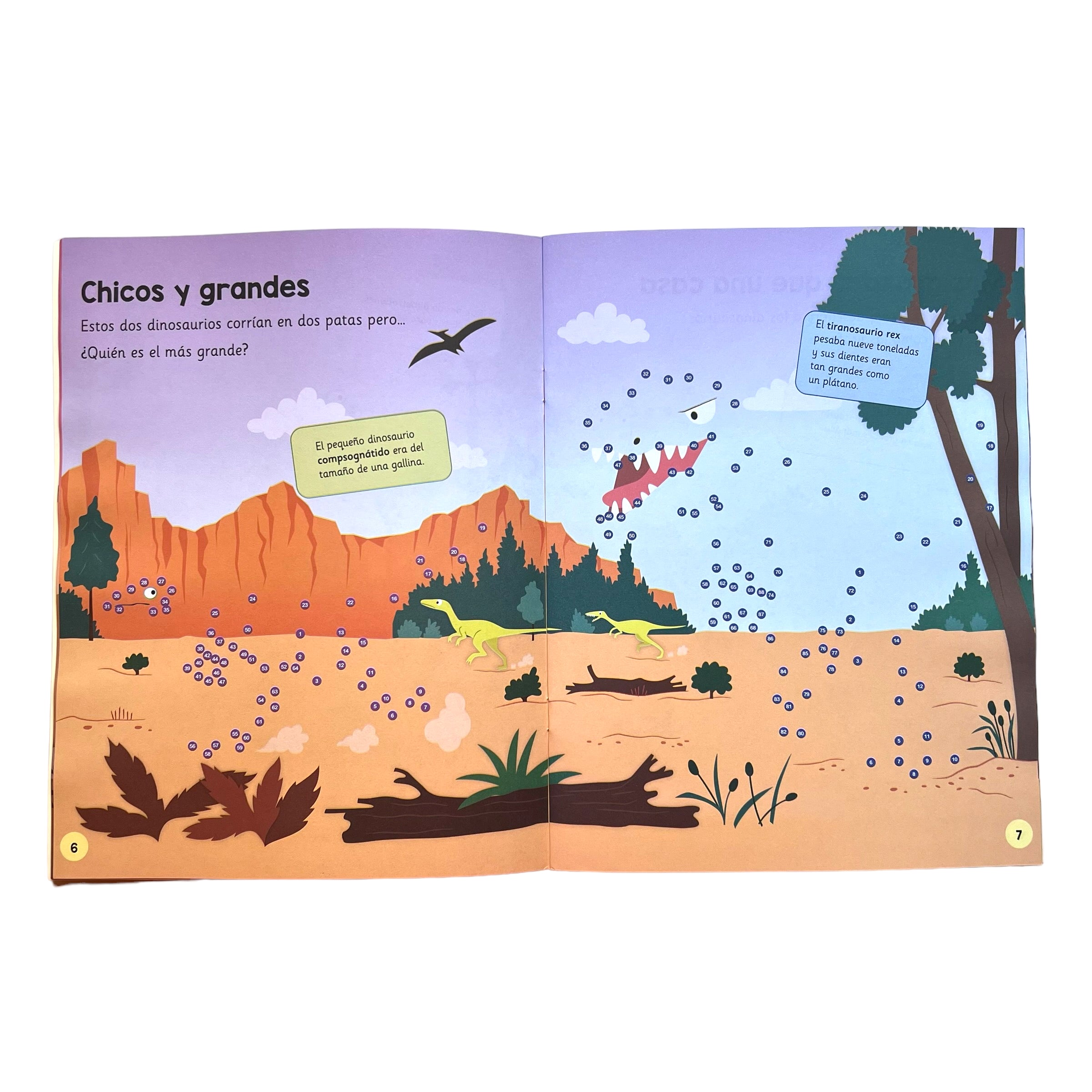 Libro Dinos gigantes punto a punto