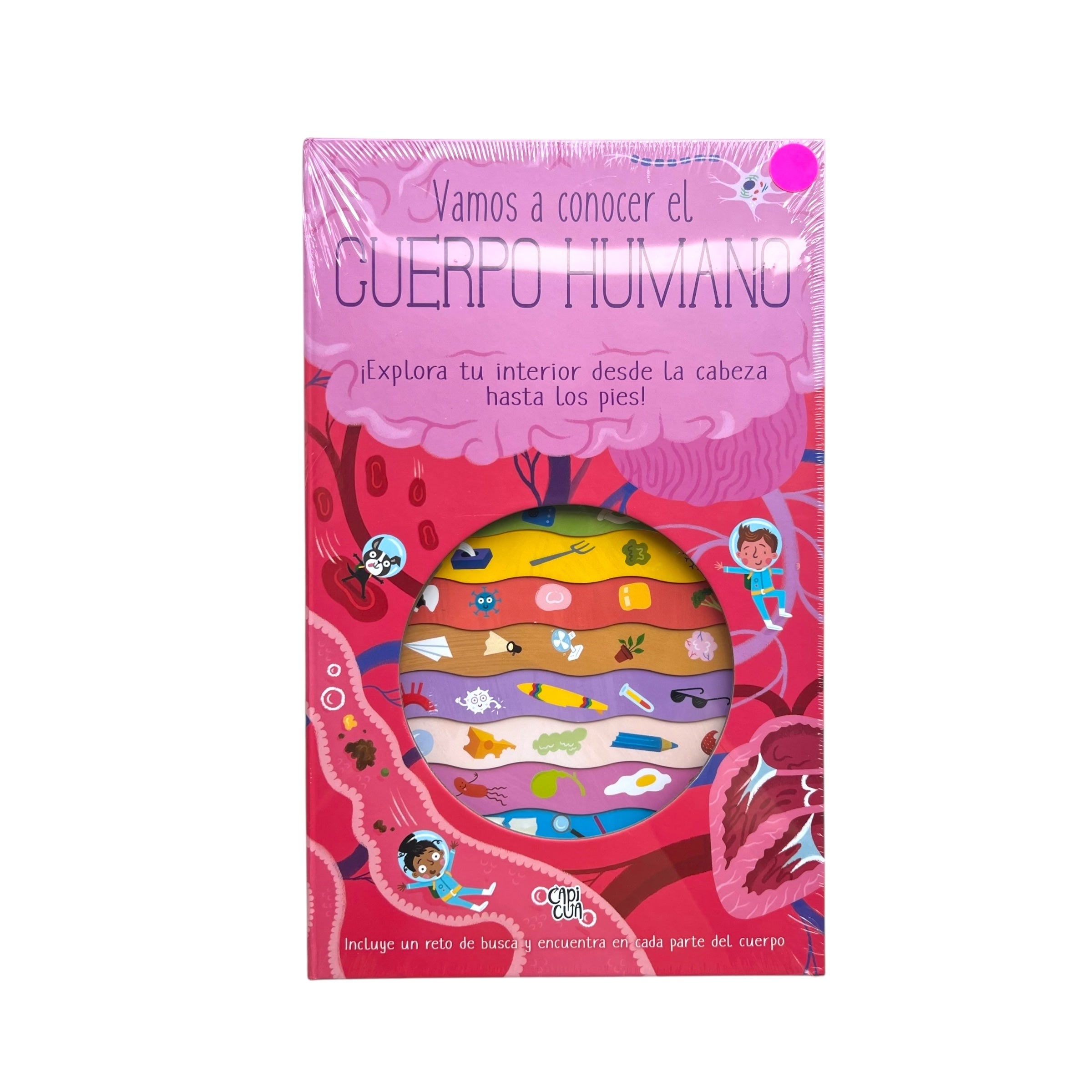 Libro gigante - Vamos a conocer el cuerpo humano