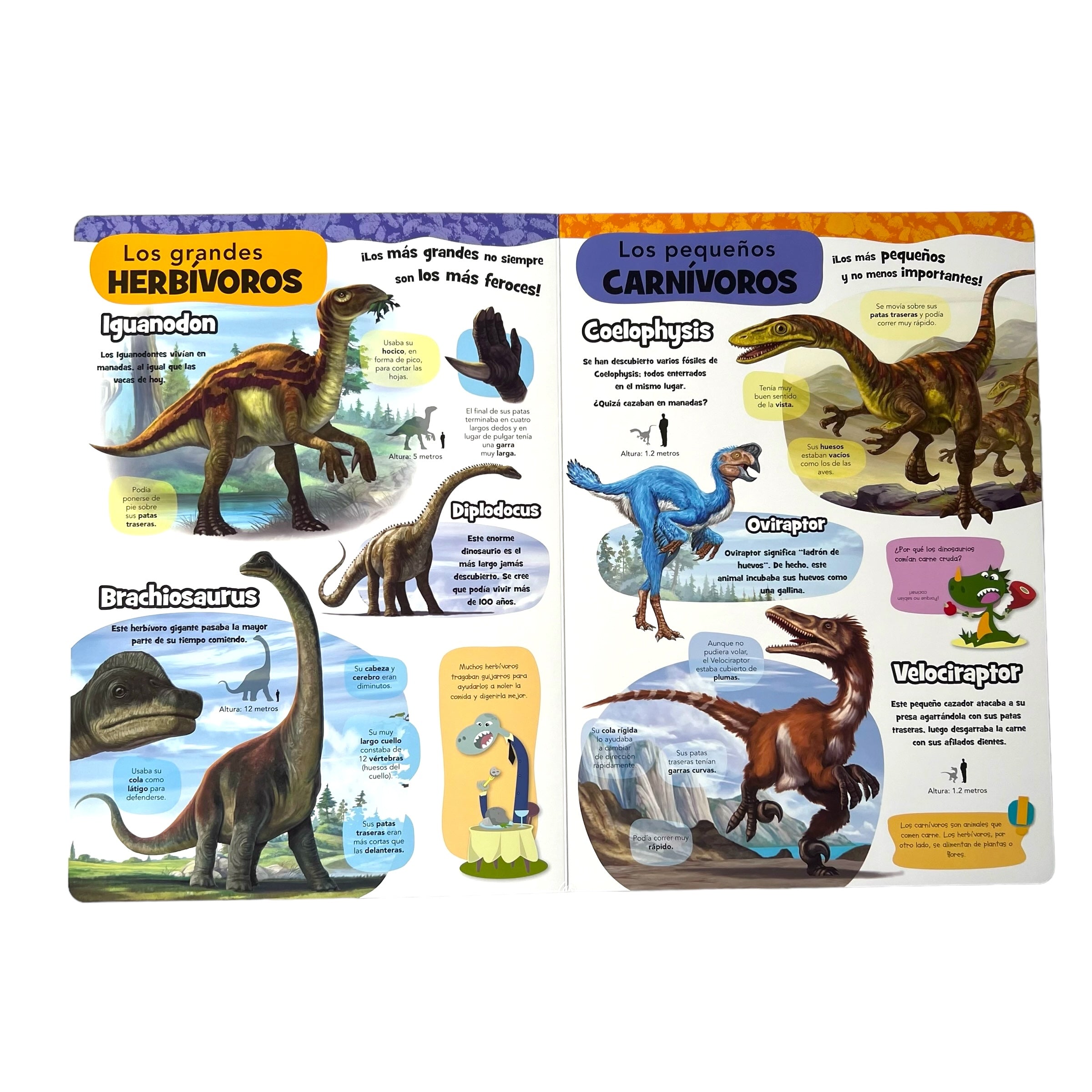 Cuento gigante dinosaurios fascinantes