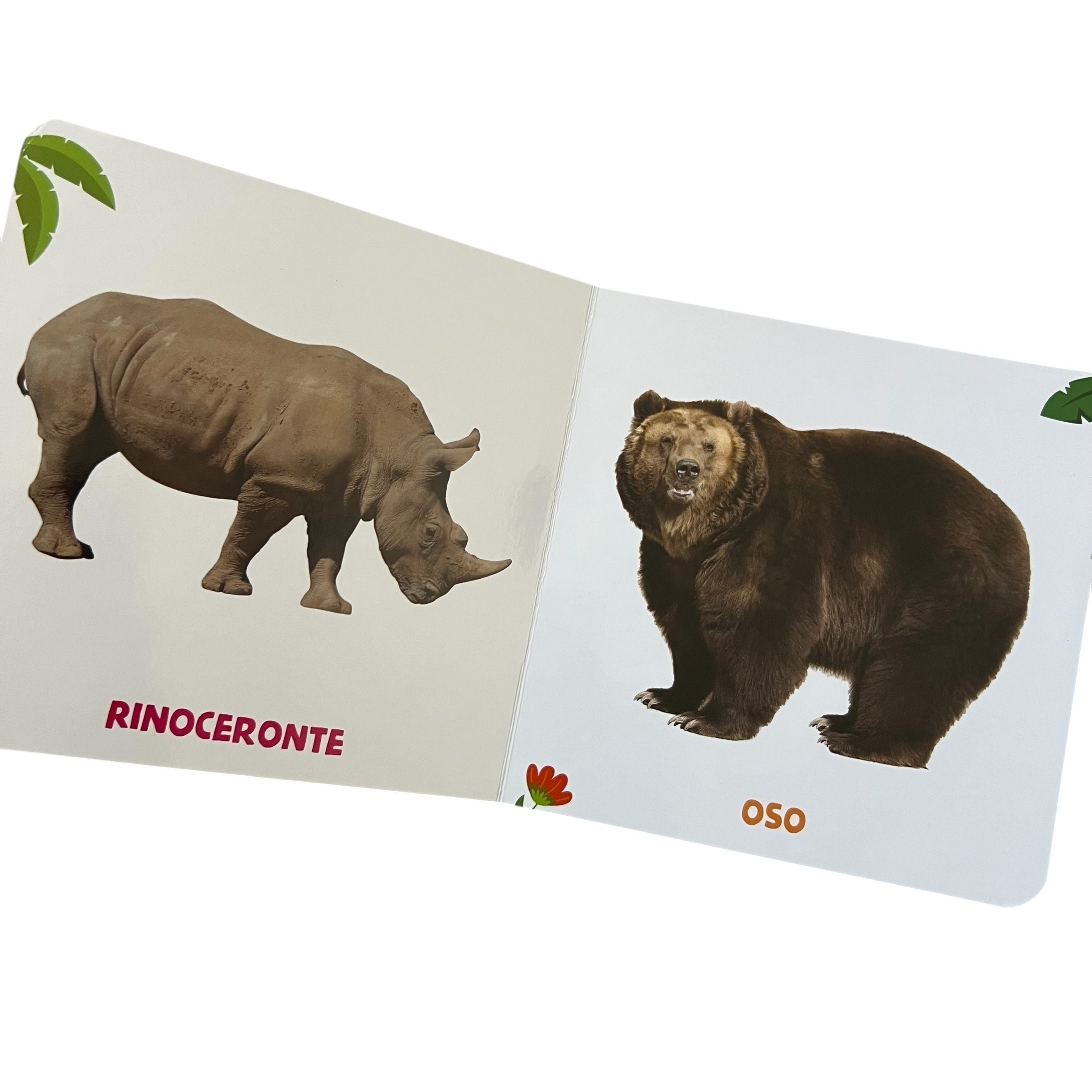 KINDERPEDIA de los Animales