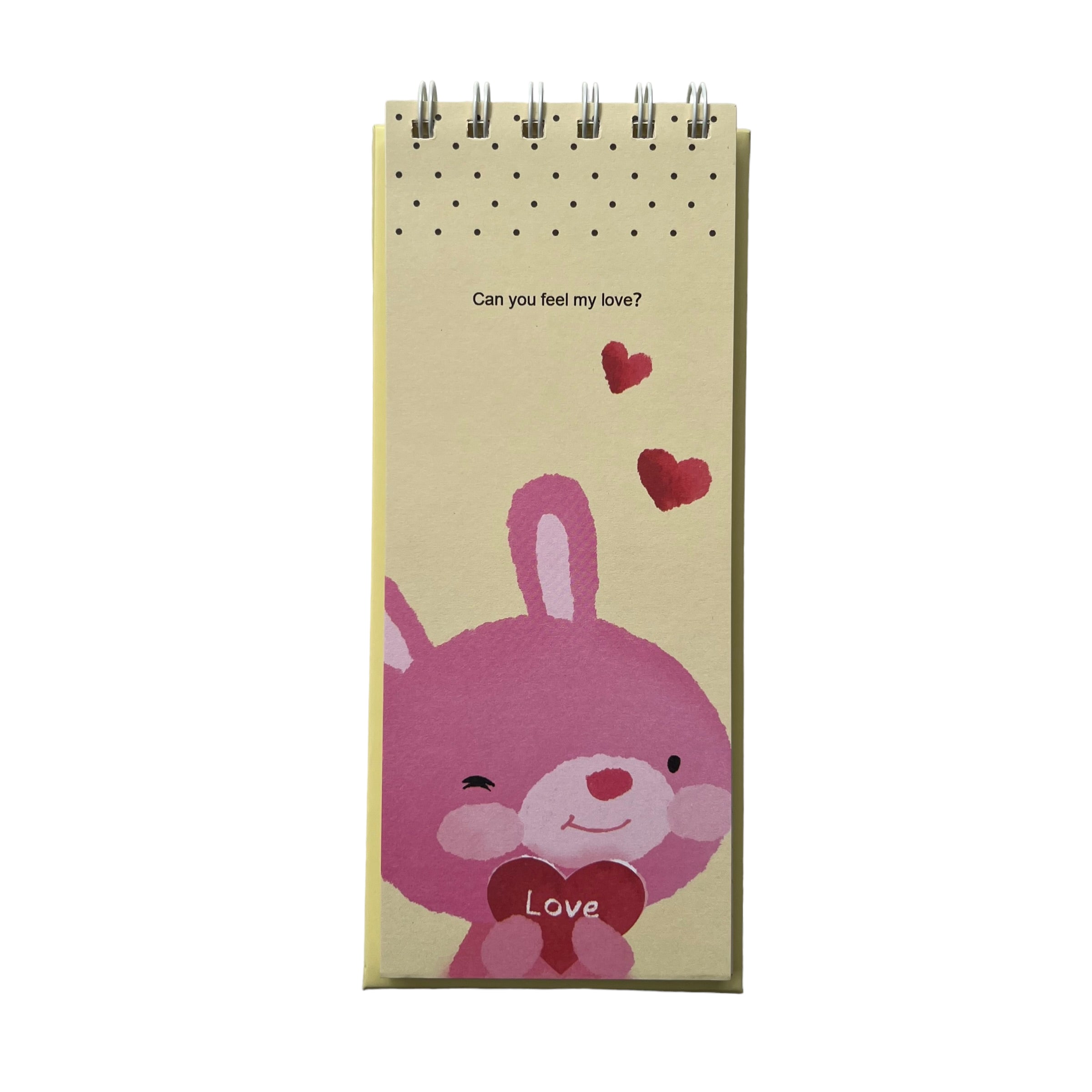 Libreta larga organizador