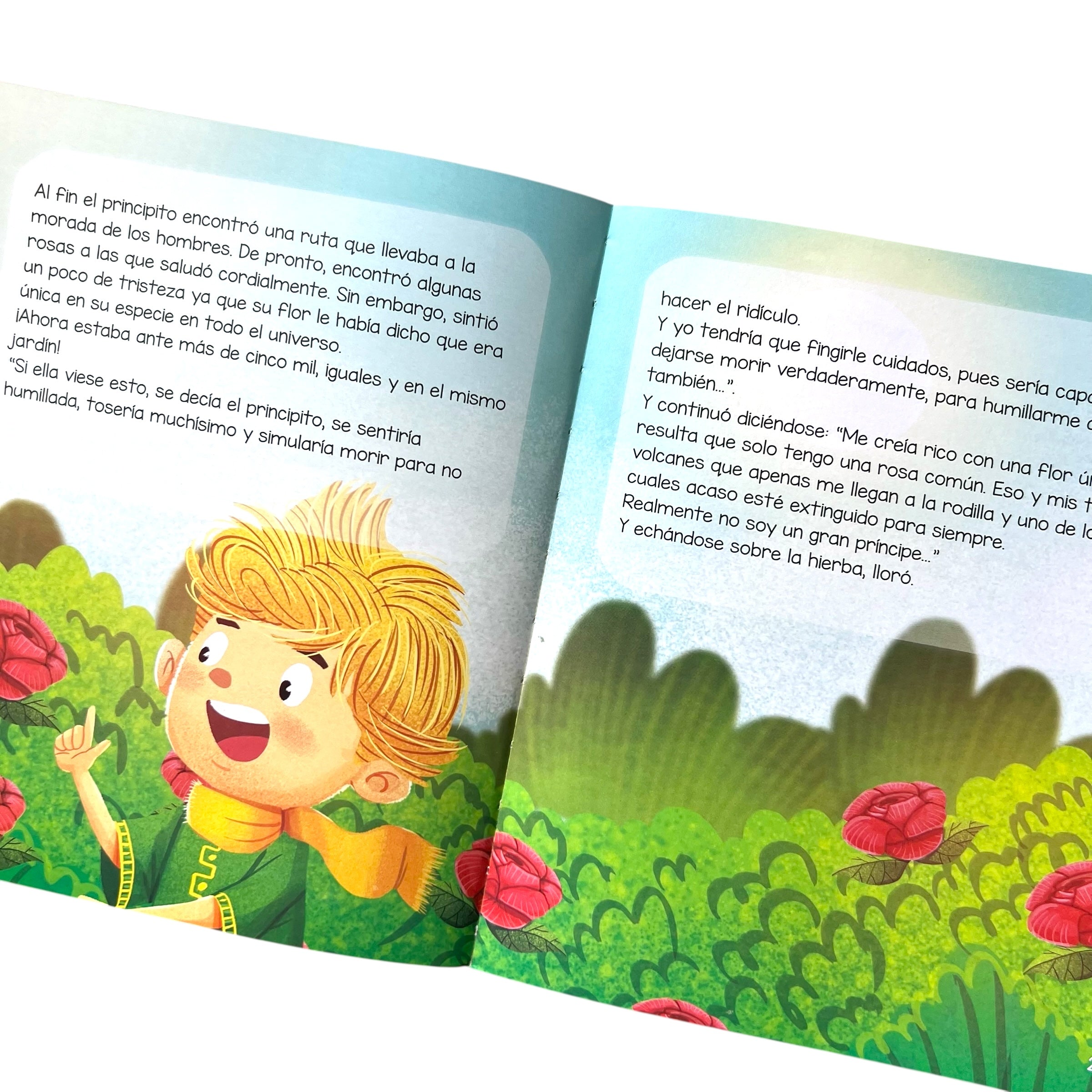Libro El principito