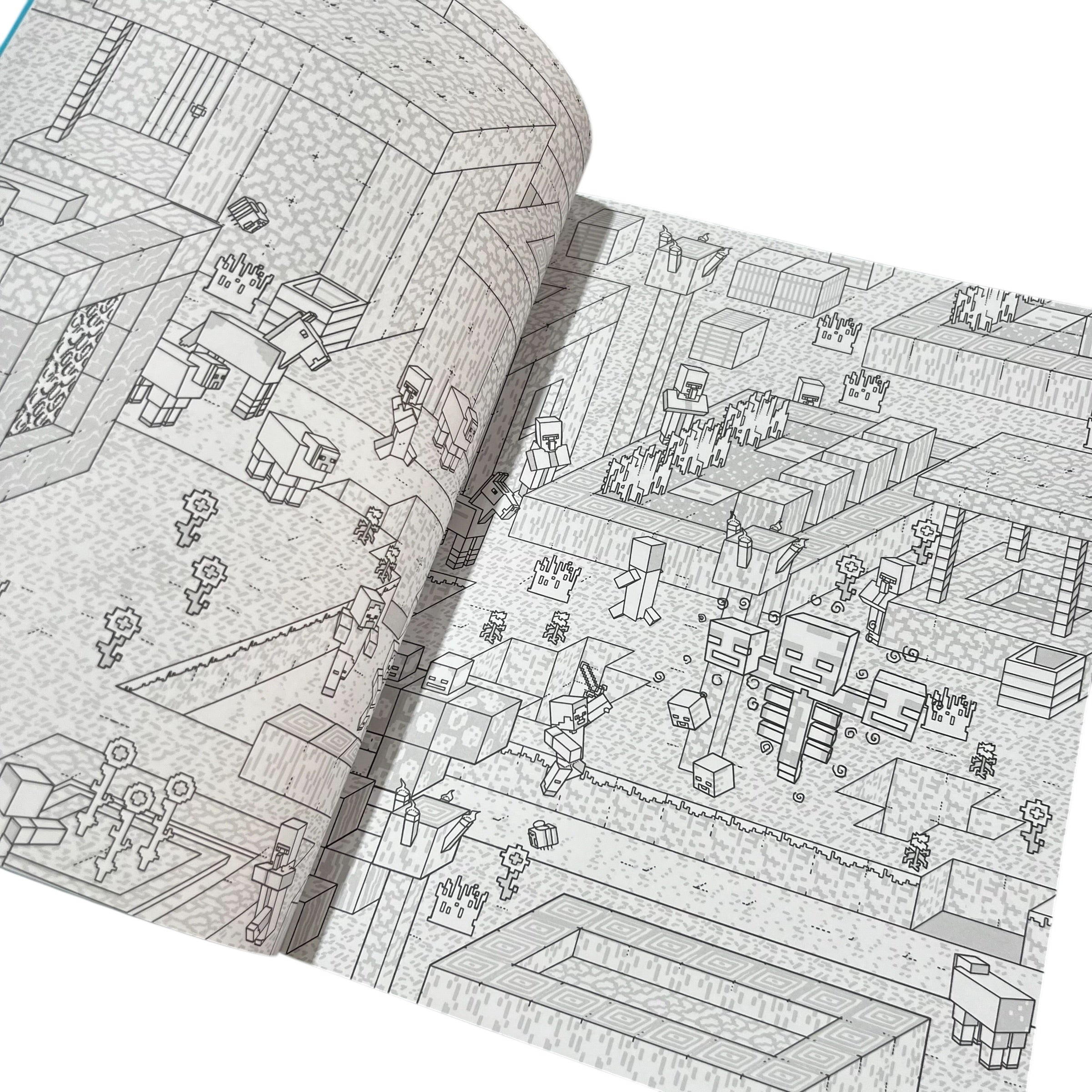 Libro para colorear Minecraft