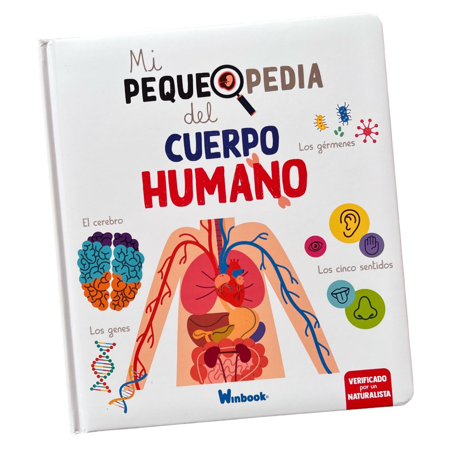 Cuento - Mi pequepedia del cuerpo humano