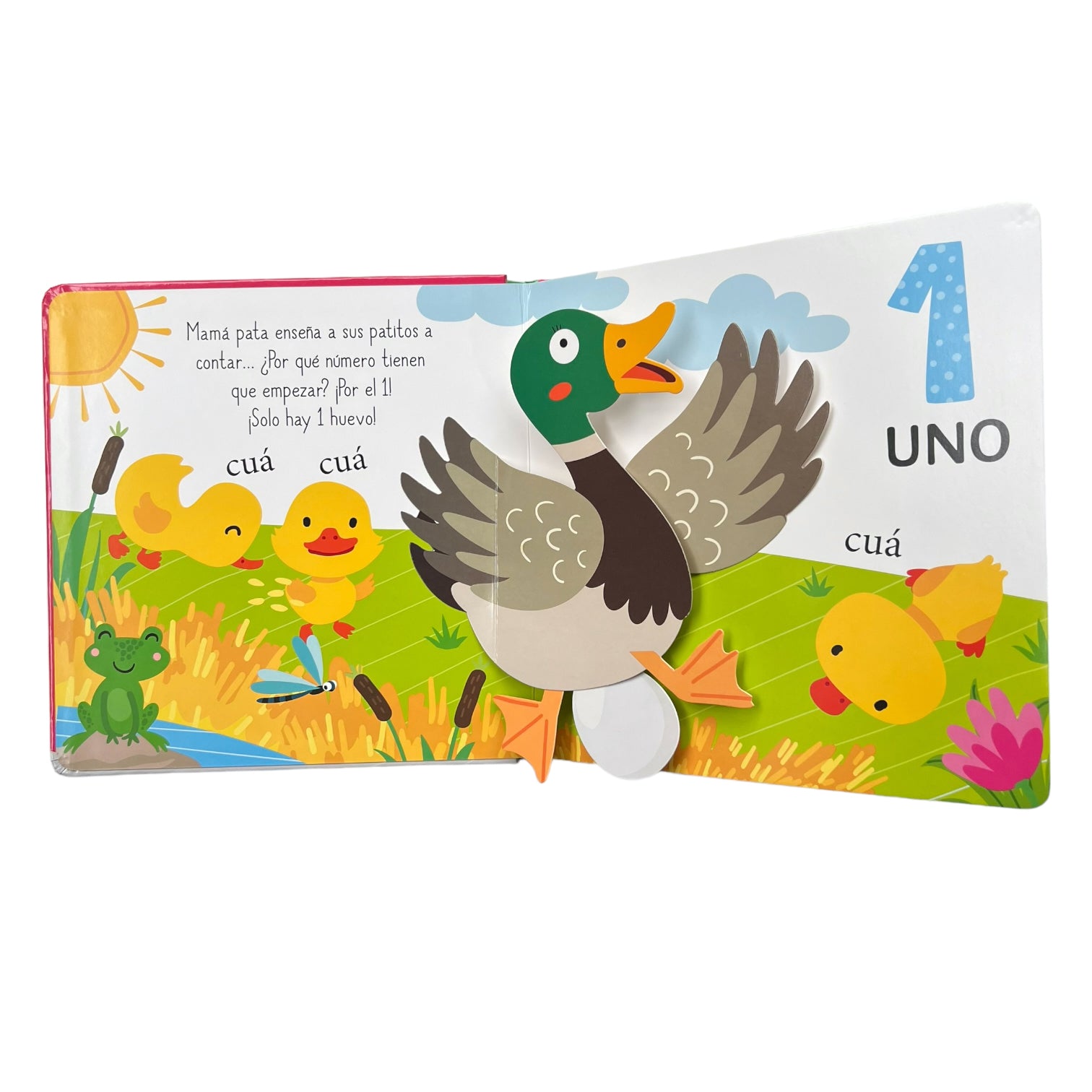 Libro POP UP descubre los números