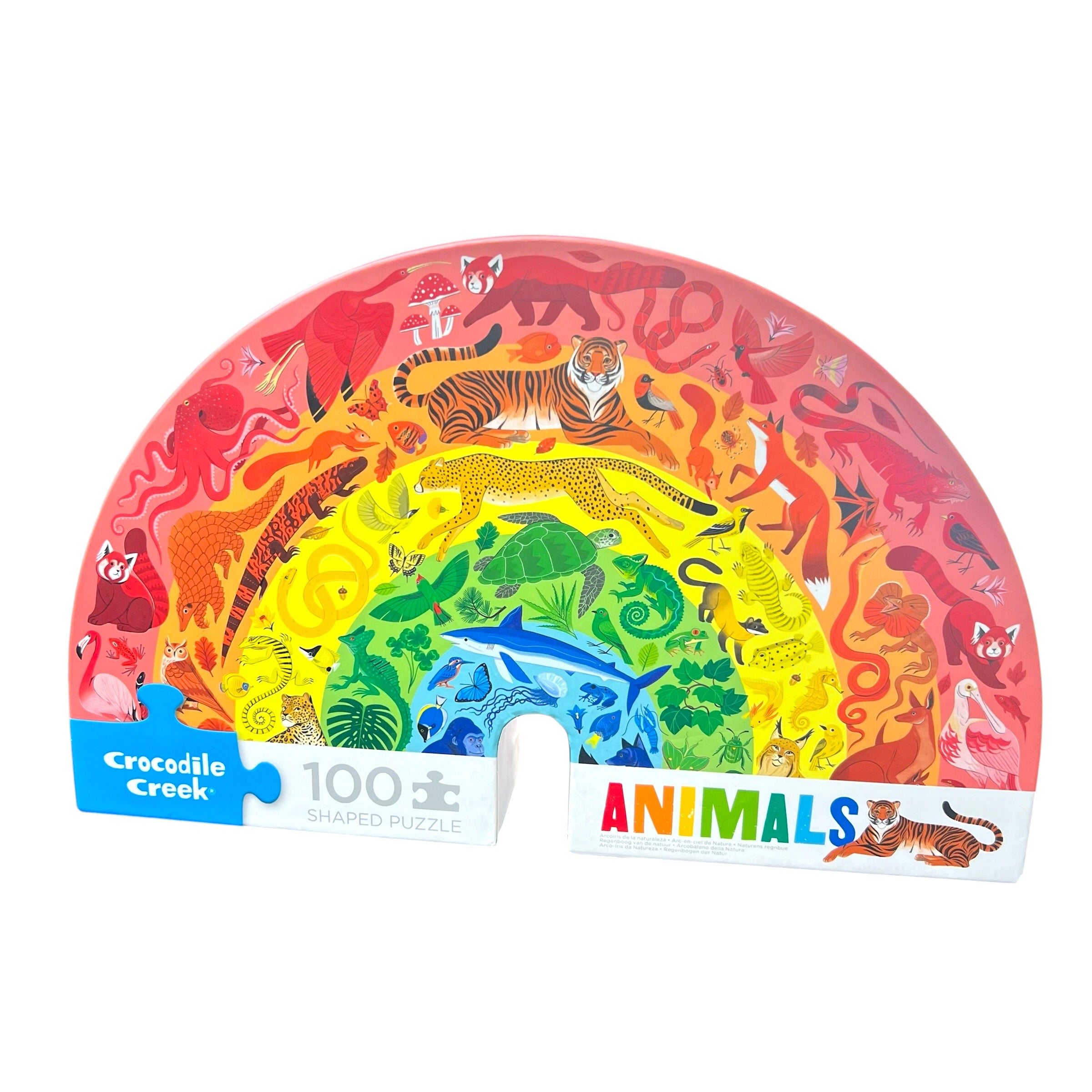 Rompecabezas JUMBO 100 pzas Arcoiris