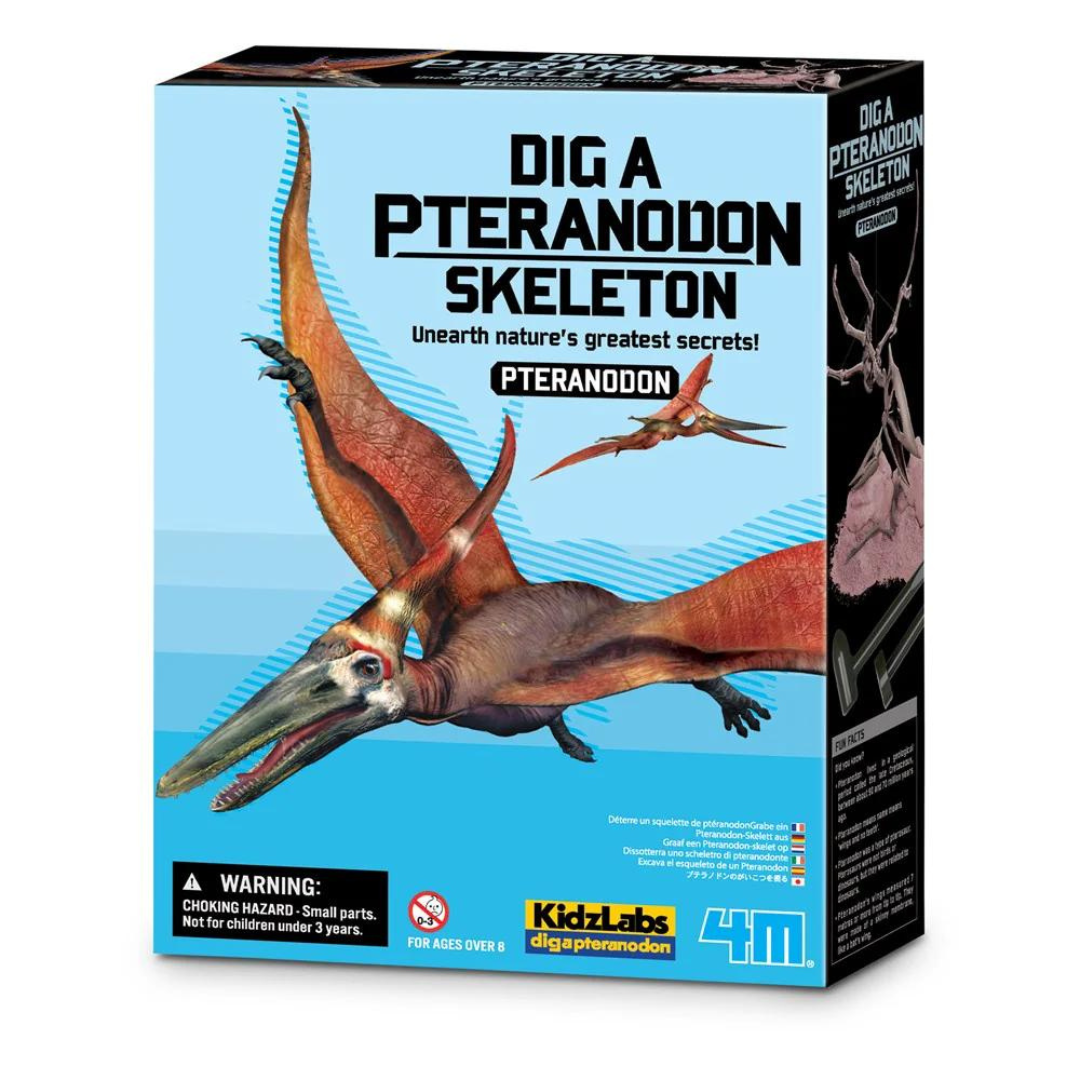 Dig a dinosaur Pteranodon - Terodactilo