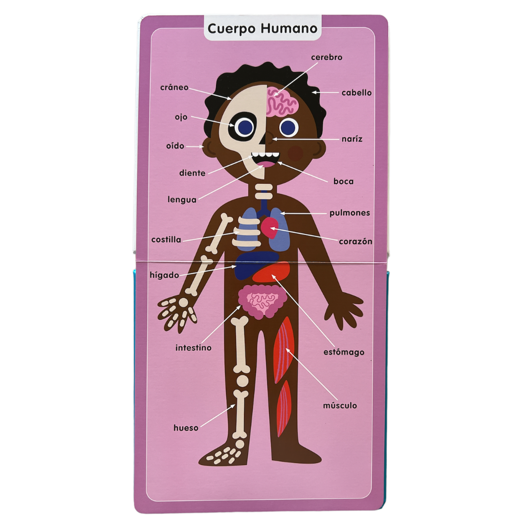 Libro 100 Palabras de Ciencia