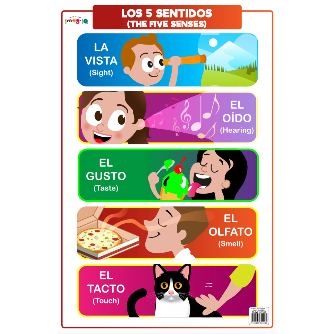 Human Body and Five Senses POSTER