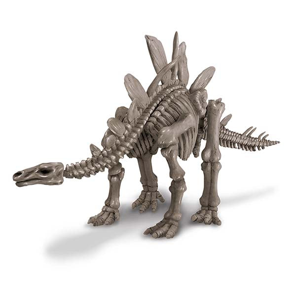 Fosil de Stegosaurus Dinosaurios - Dig a Dinosaur Stegosaurus