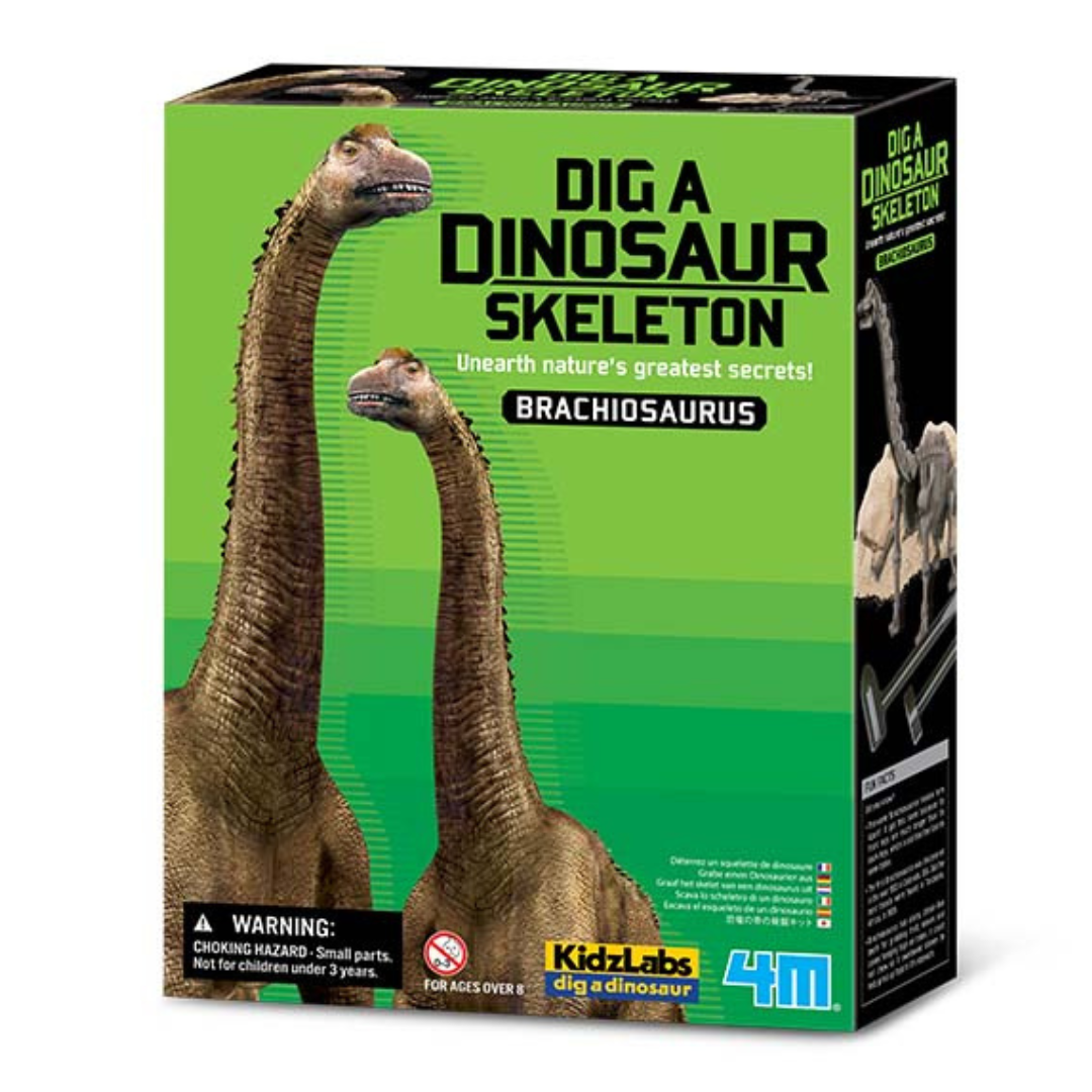 Fósil de Braquiosaurio Dinosaurios - Dig a Dinosaur Brachiosaurus