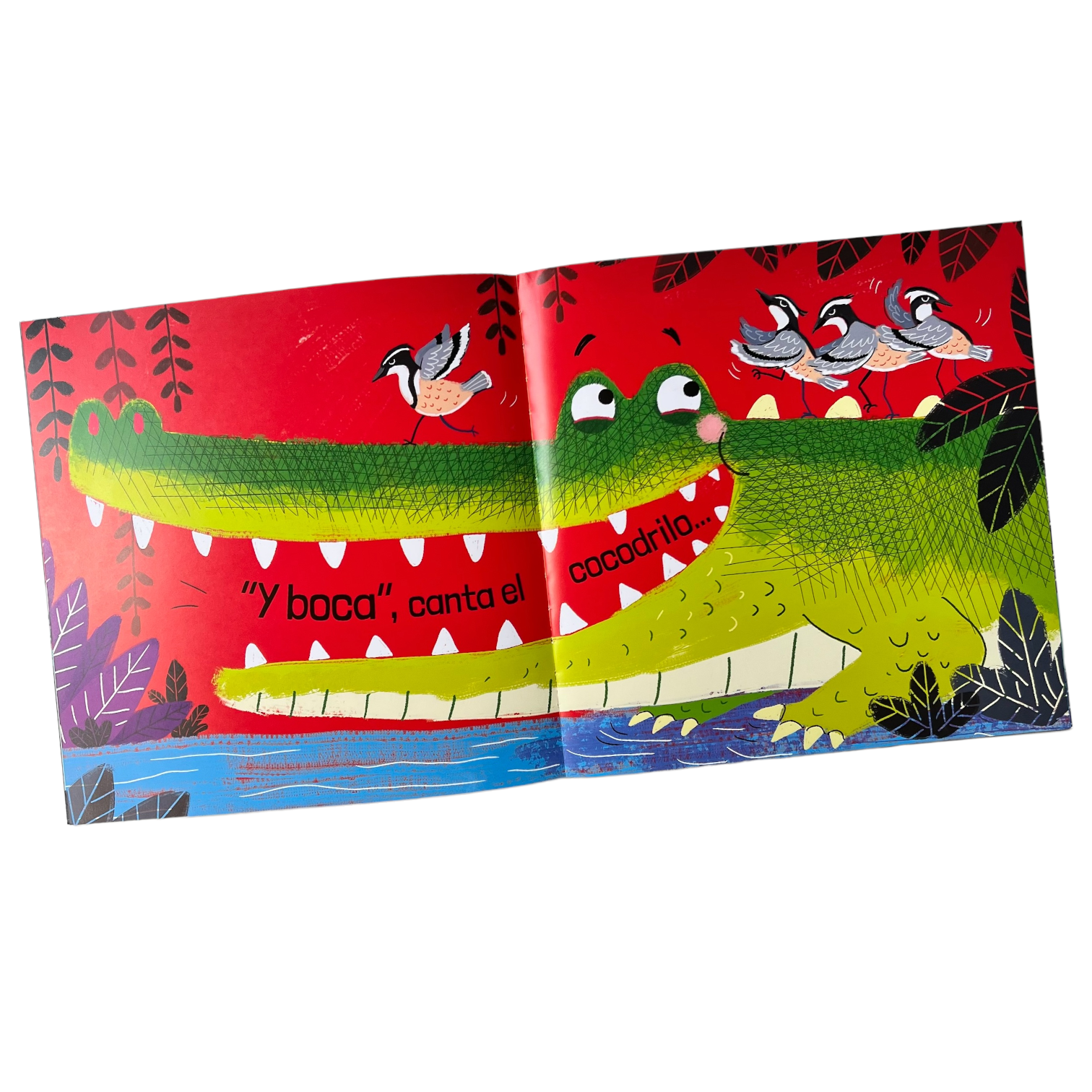 Libro de valores Cabeza, Hombros, Rodillas y Pies