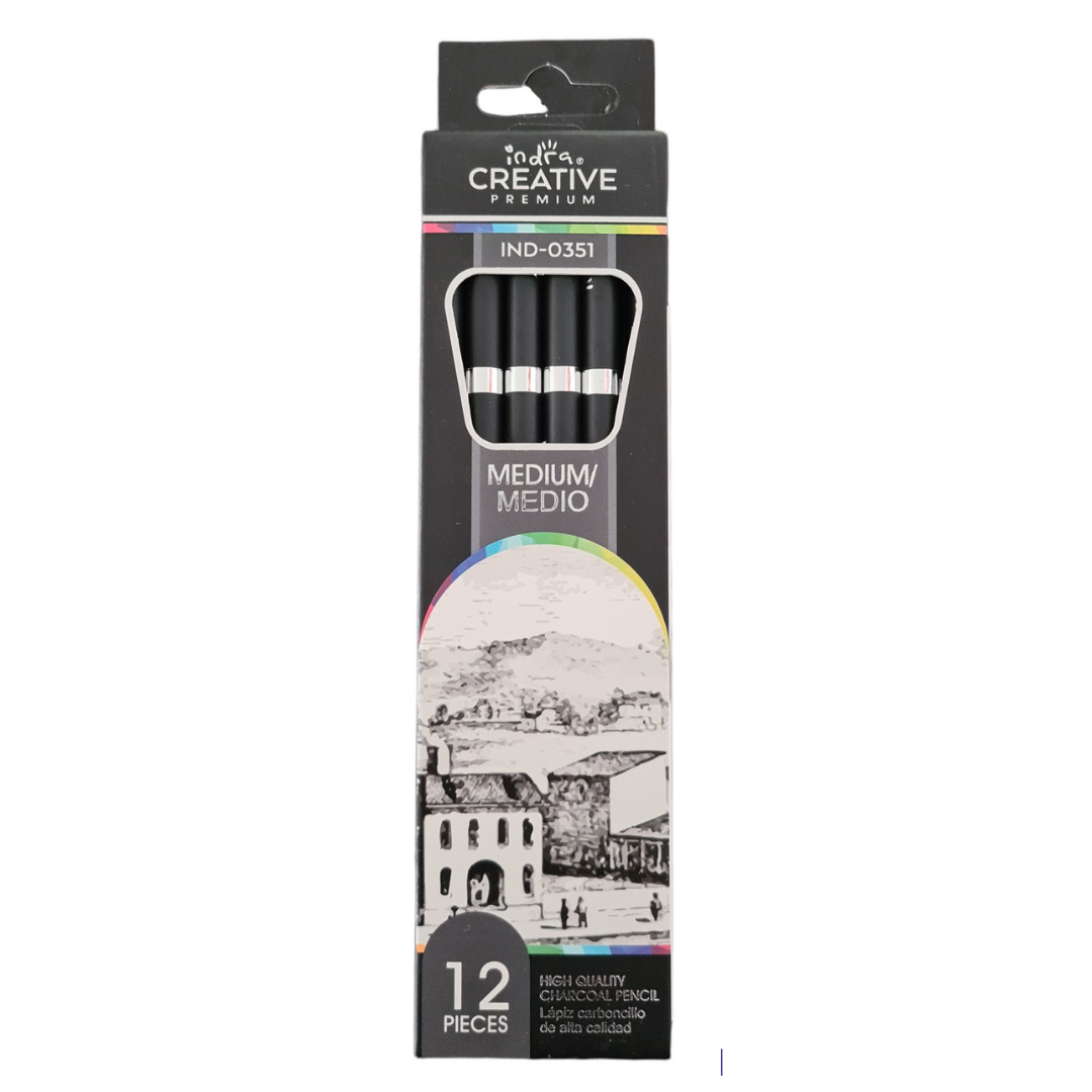 Set Dibujo Profesional Indra Lapices Grafito + Carbon 31 Pzs