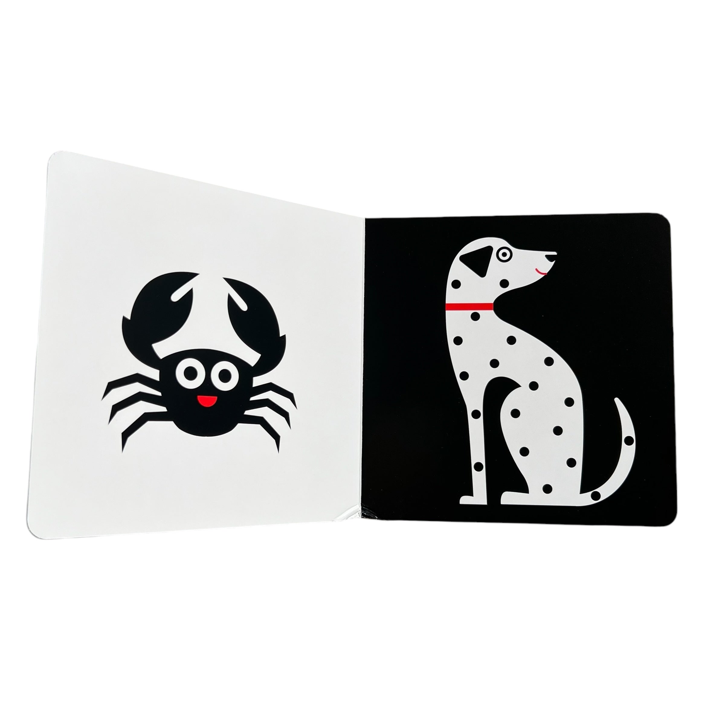 Libro Bebé Montessori