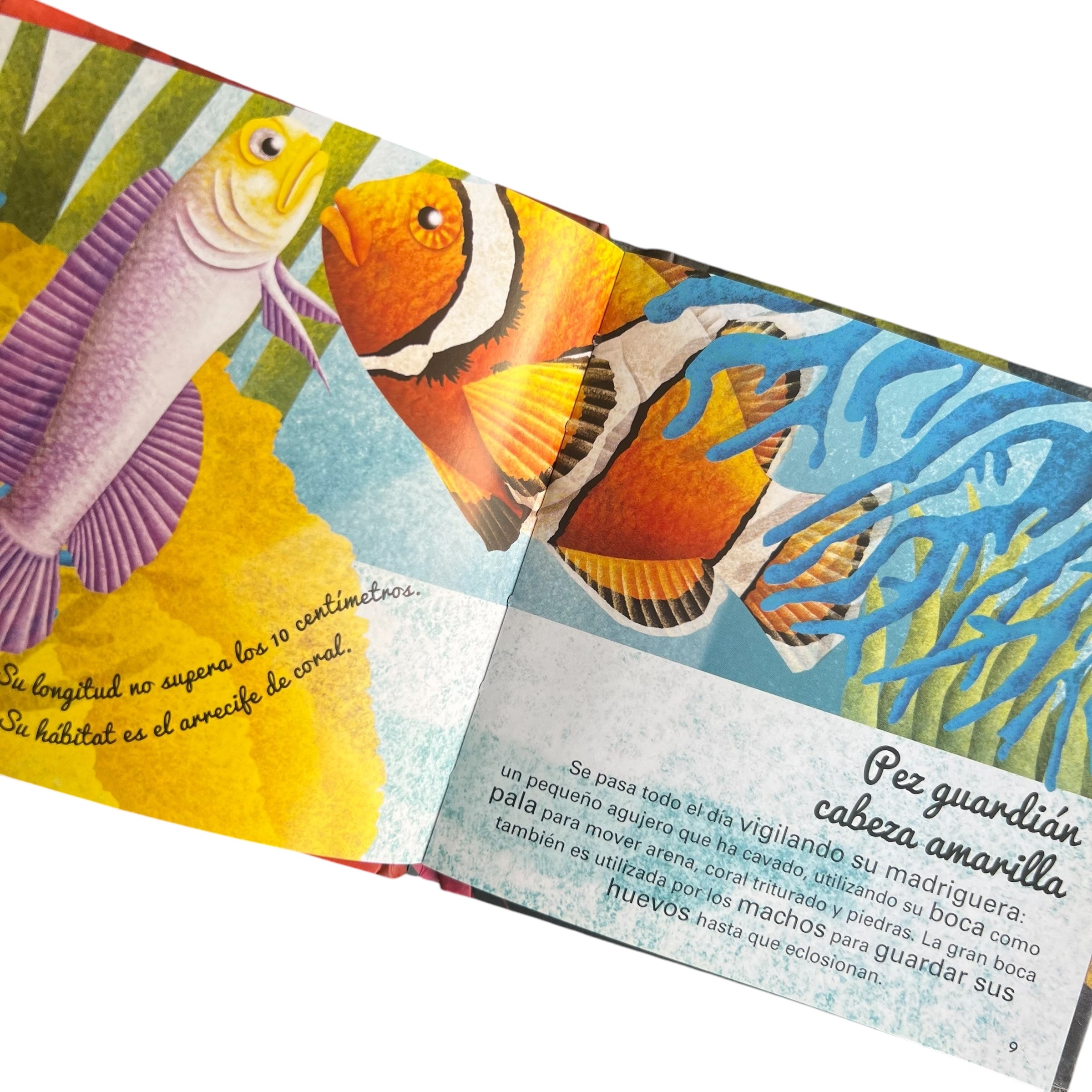 Enciclopedia - El gran libro de los animales marinos