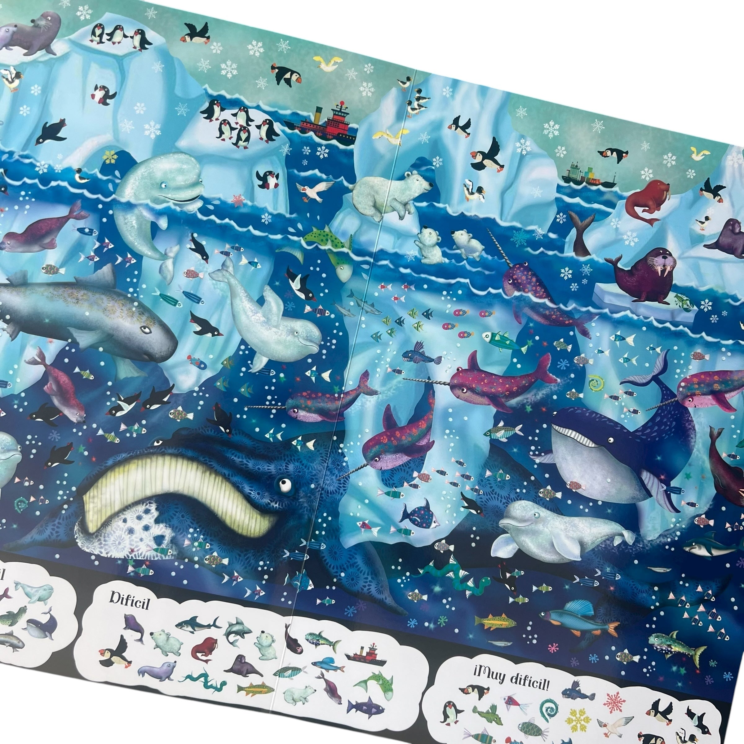 Busca en el libro gigante - Animales del mar