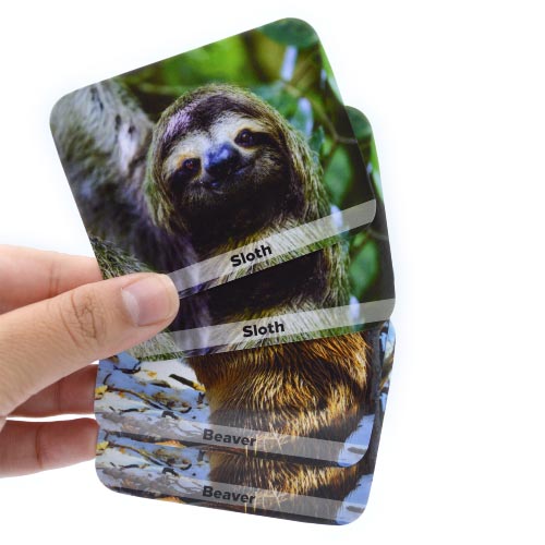 Wild animals- Juego de memoria