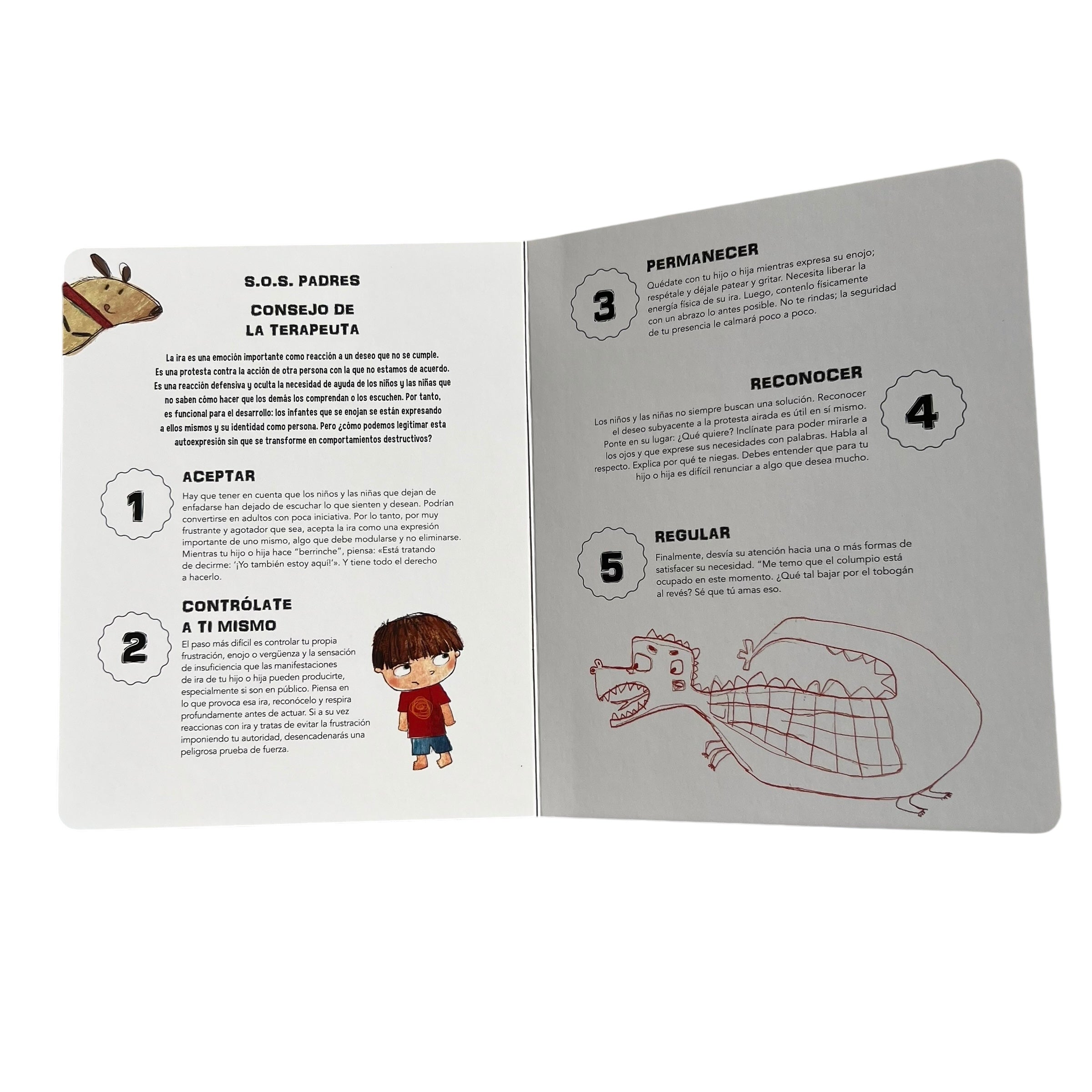 Libro de Valores:  Los Consejos de Tim