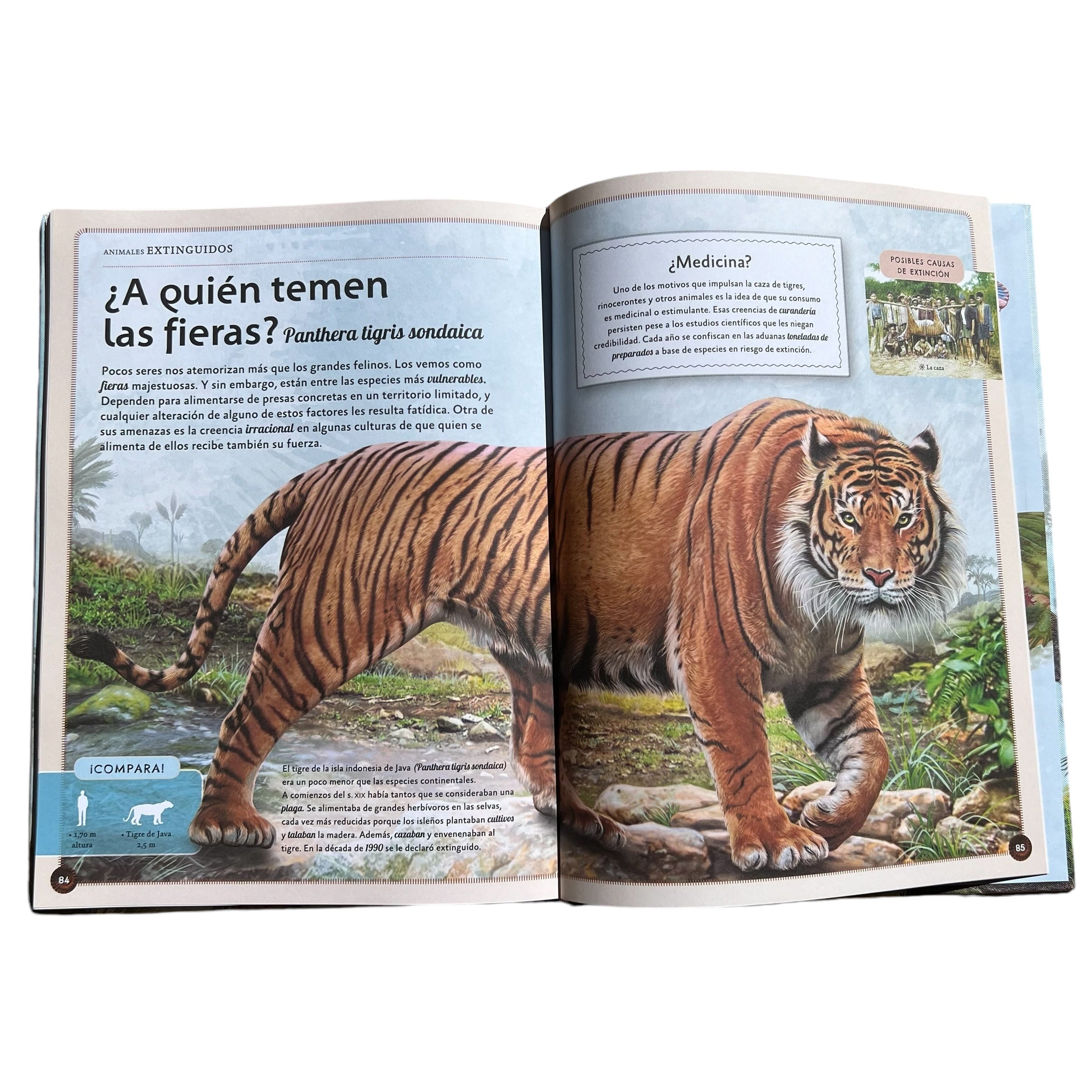 El Magnifico Libro de los Animales Extinguidos