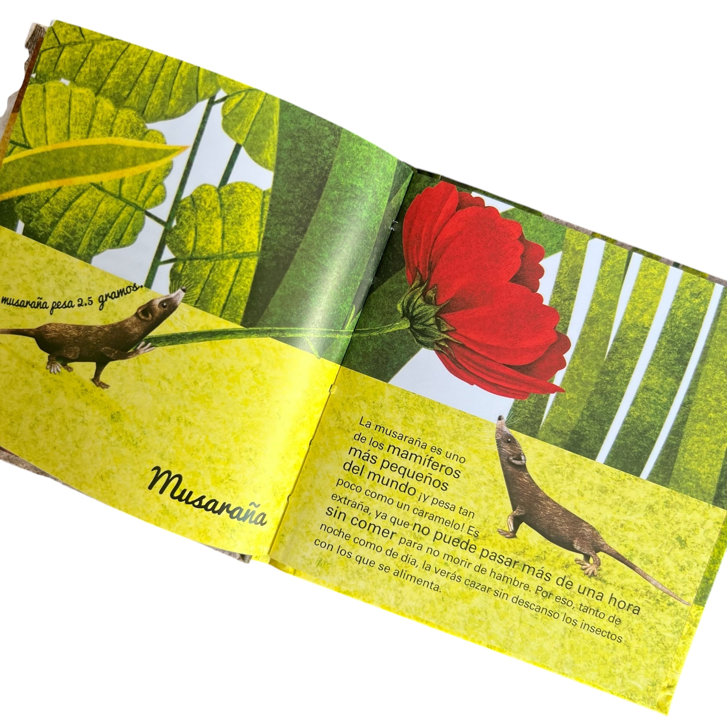 Enciclopedia - El gran libro de los animales más grandes