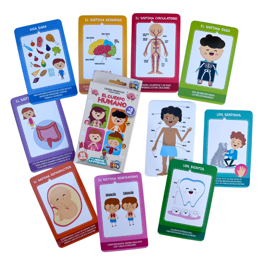 El Cuerpo Humano - Flash Cards School Fun