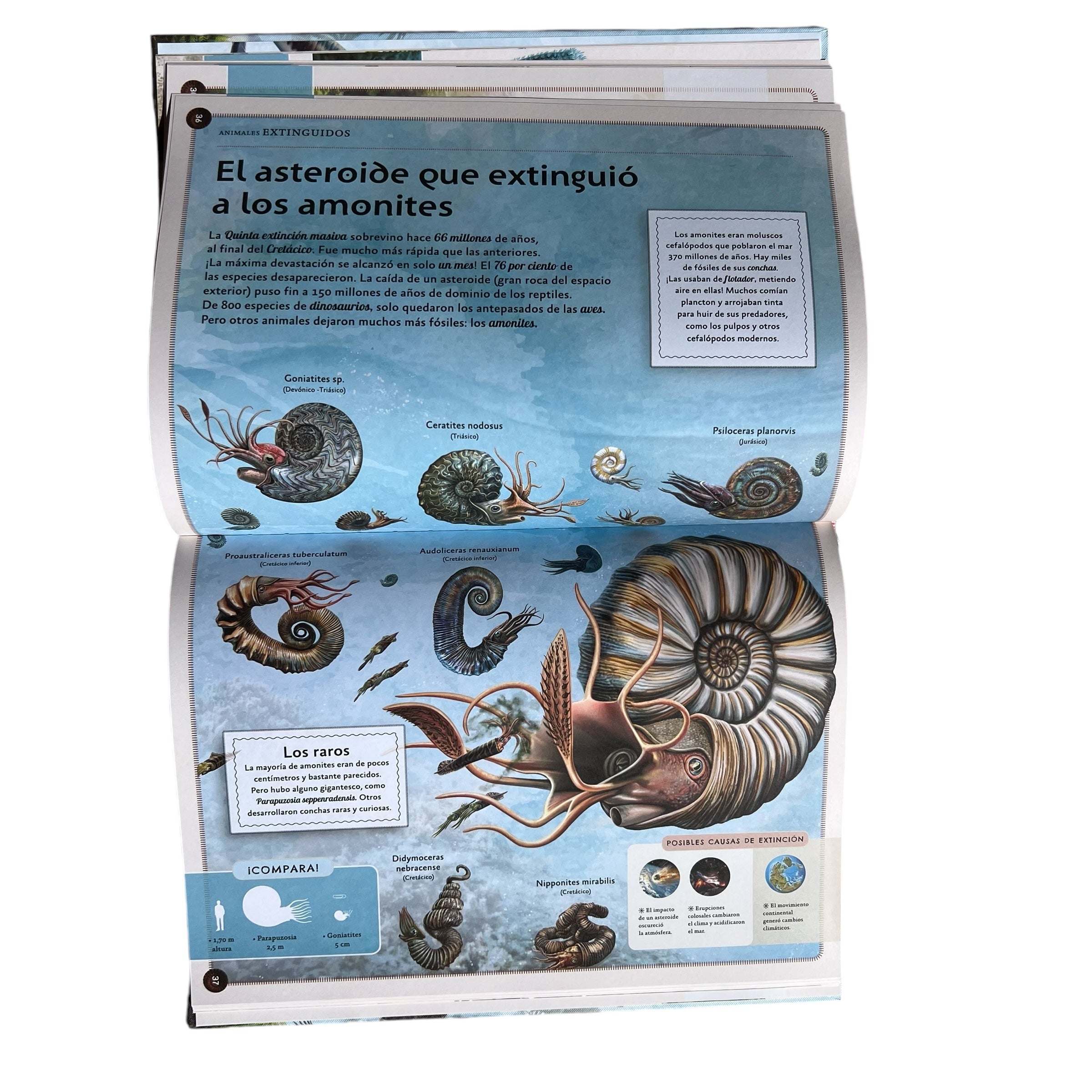 El Magnifico Libro de los Animales Extinguidos