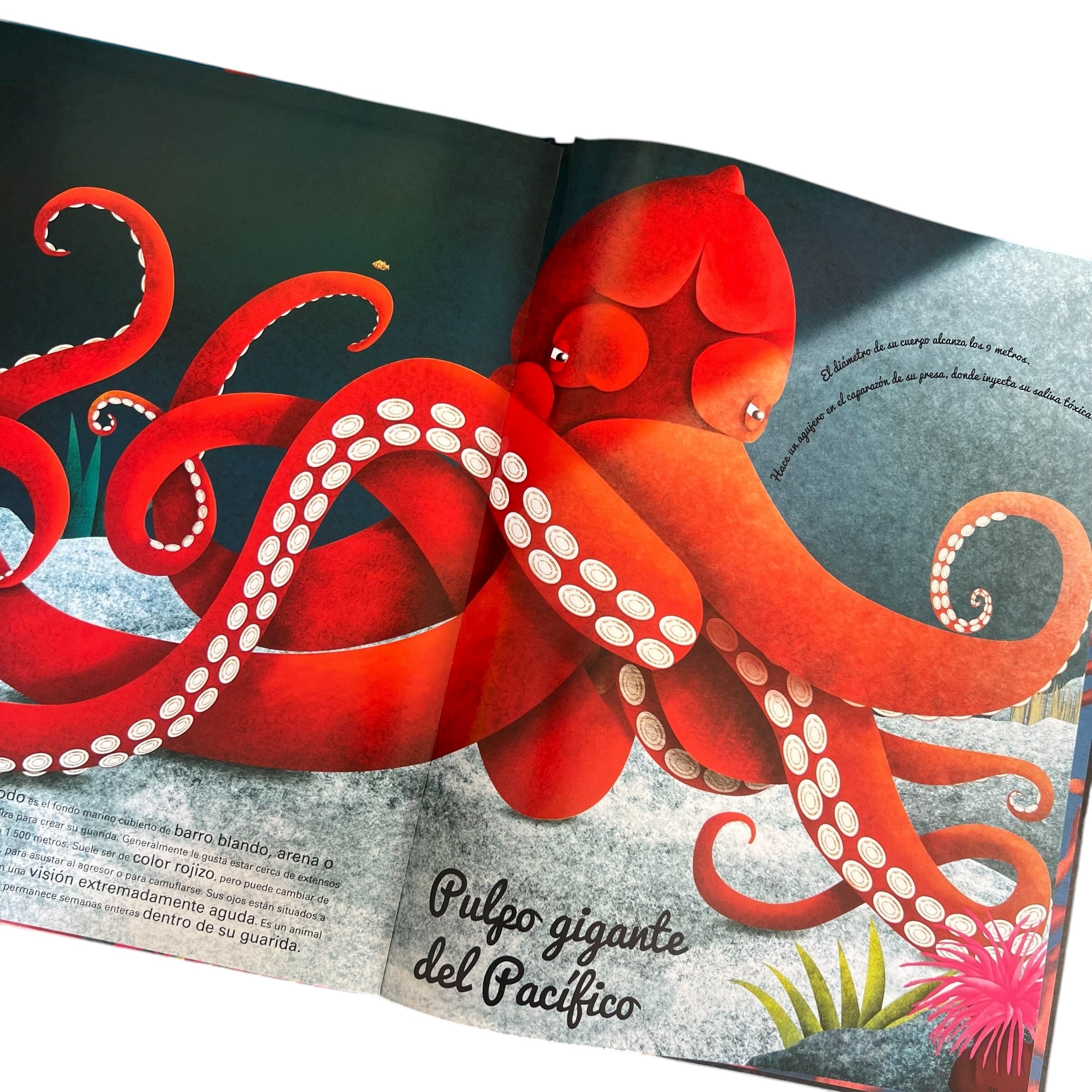 Enciclopedia - El gran libro de los animales marinos