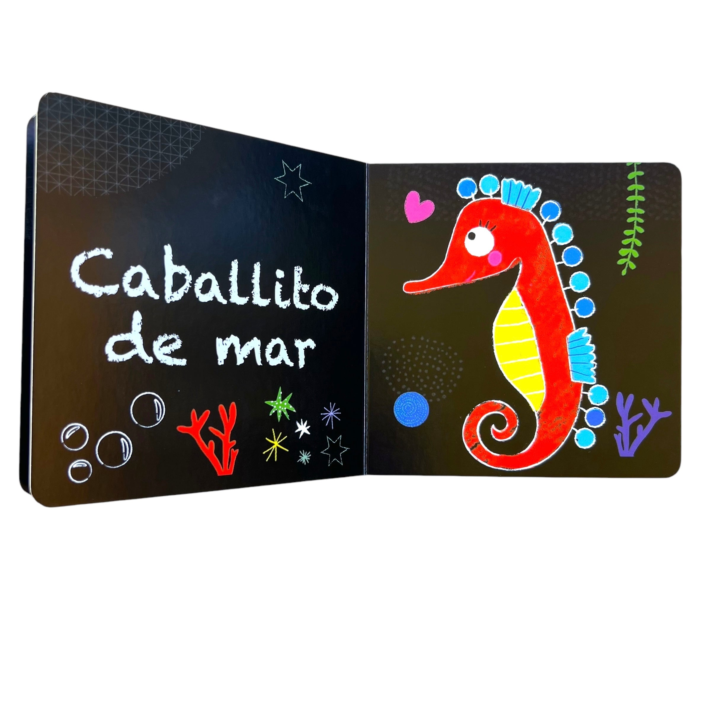 Libro El Mundo a mi Alrededor -  Primeras palabras en pizarra