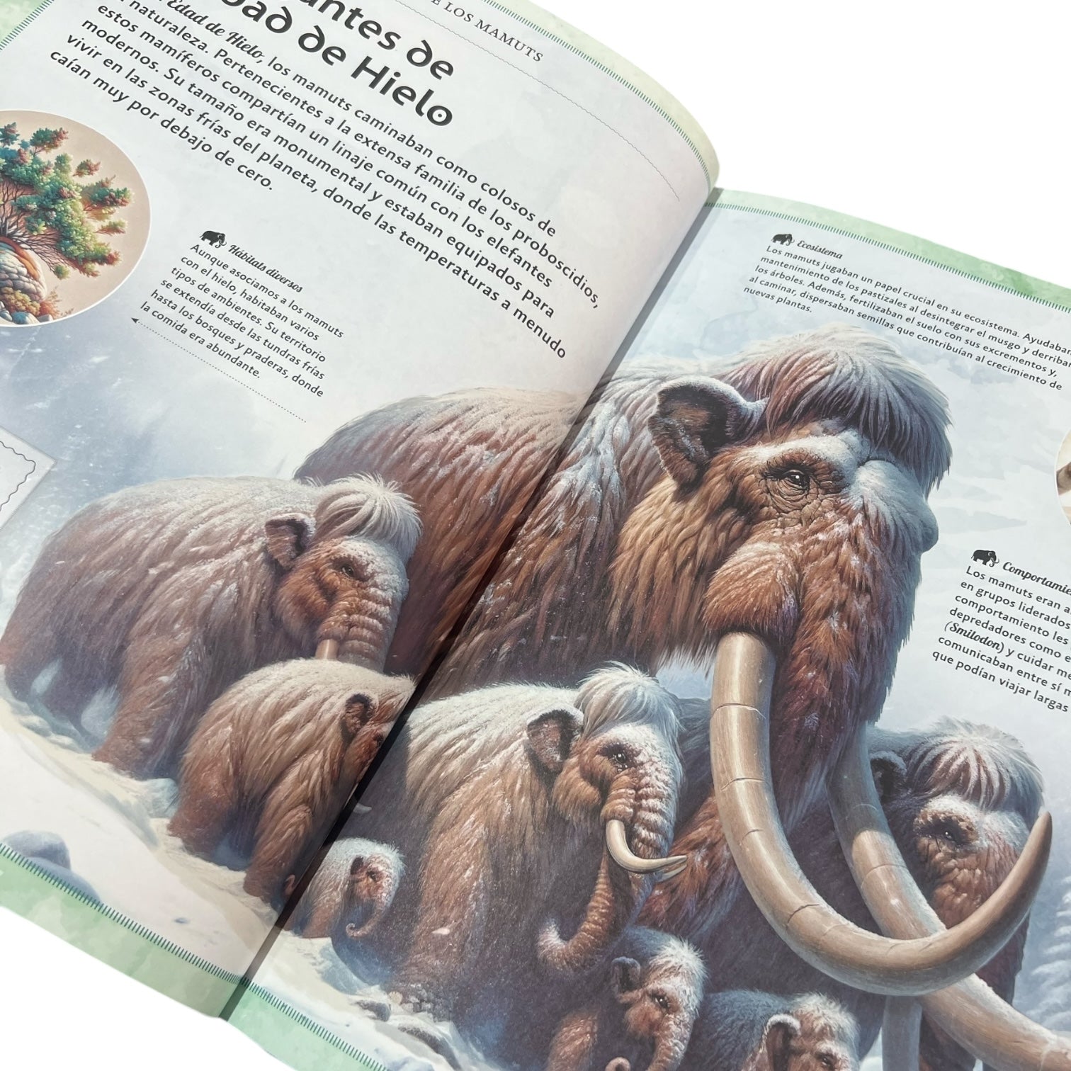 Cuento - El magnífico libro de los mamuts