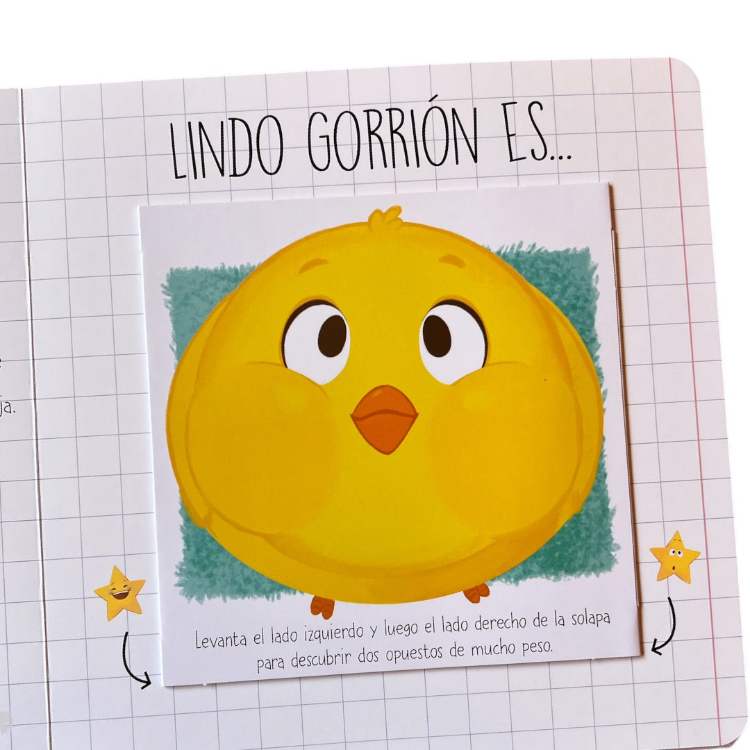 Libro Opuestos  Mágicos