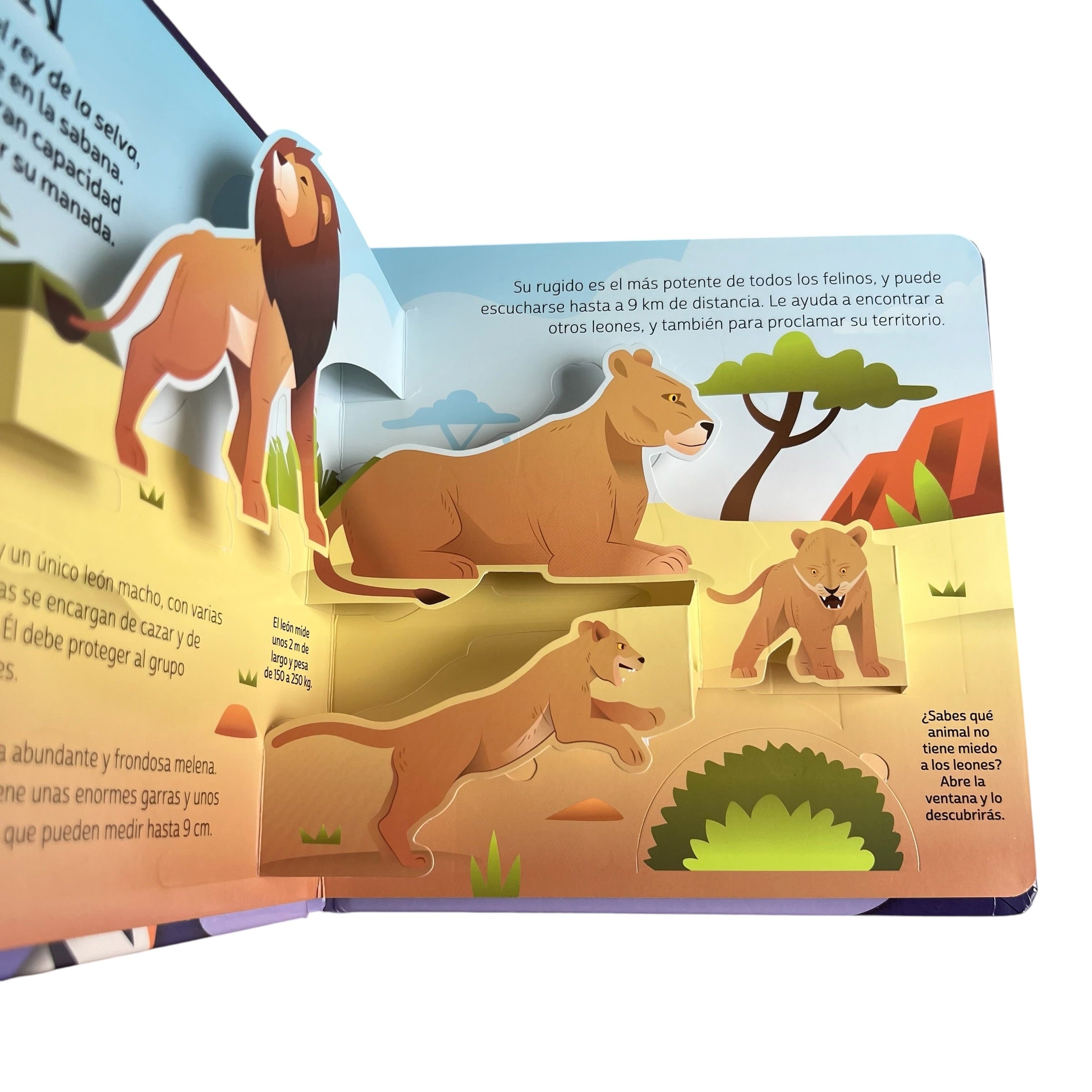 Pop up aprender animales salvajes