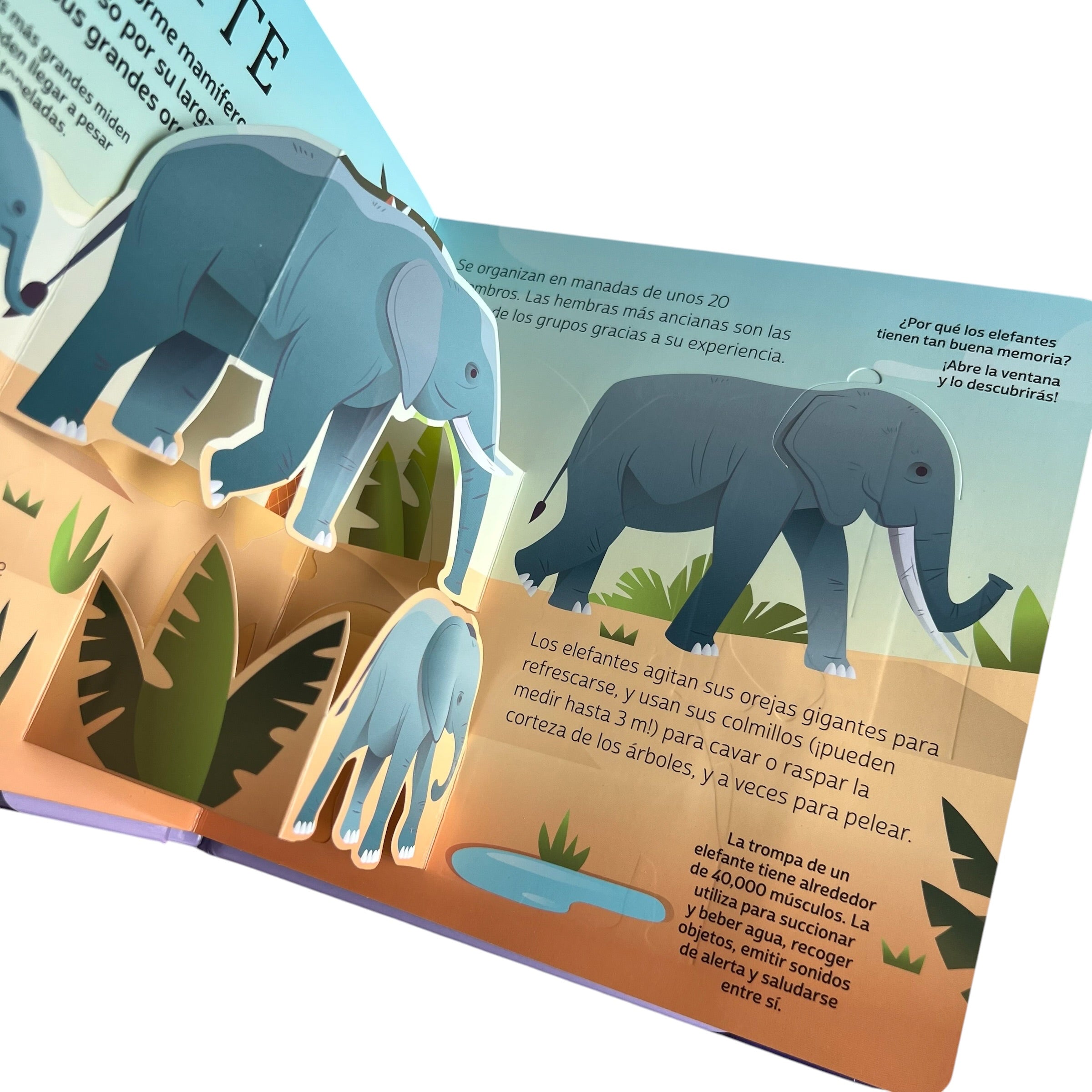Pop up aprender animales salvajes
