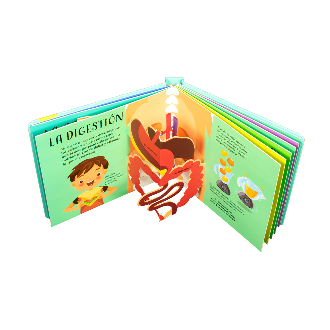 Amazing pop up - El cuerpo humano