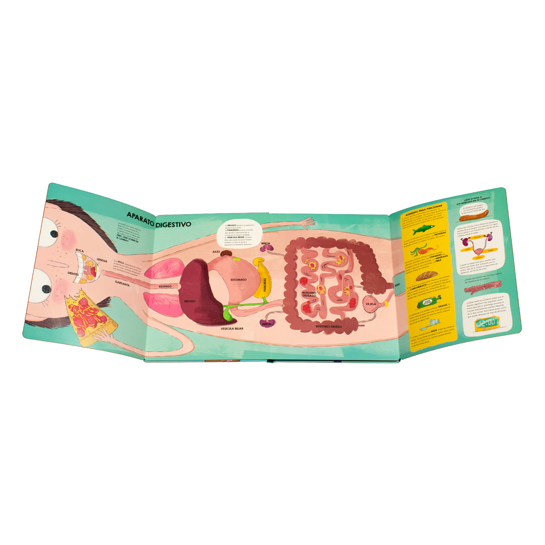 Libro - Mi viaje de descubrimiento mi cuerpo