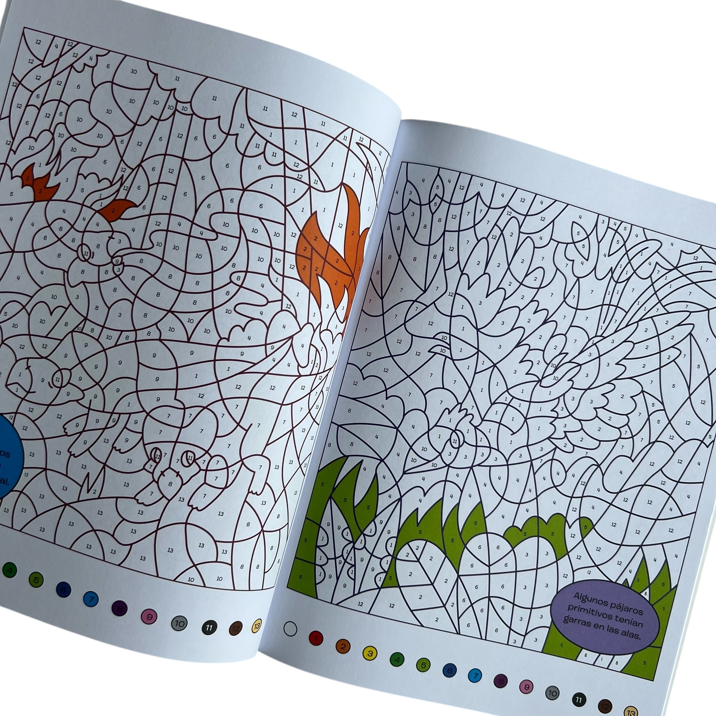 Libro para colorear - Colorea por números Dinos