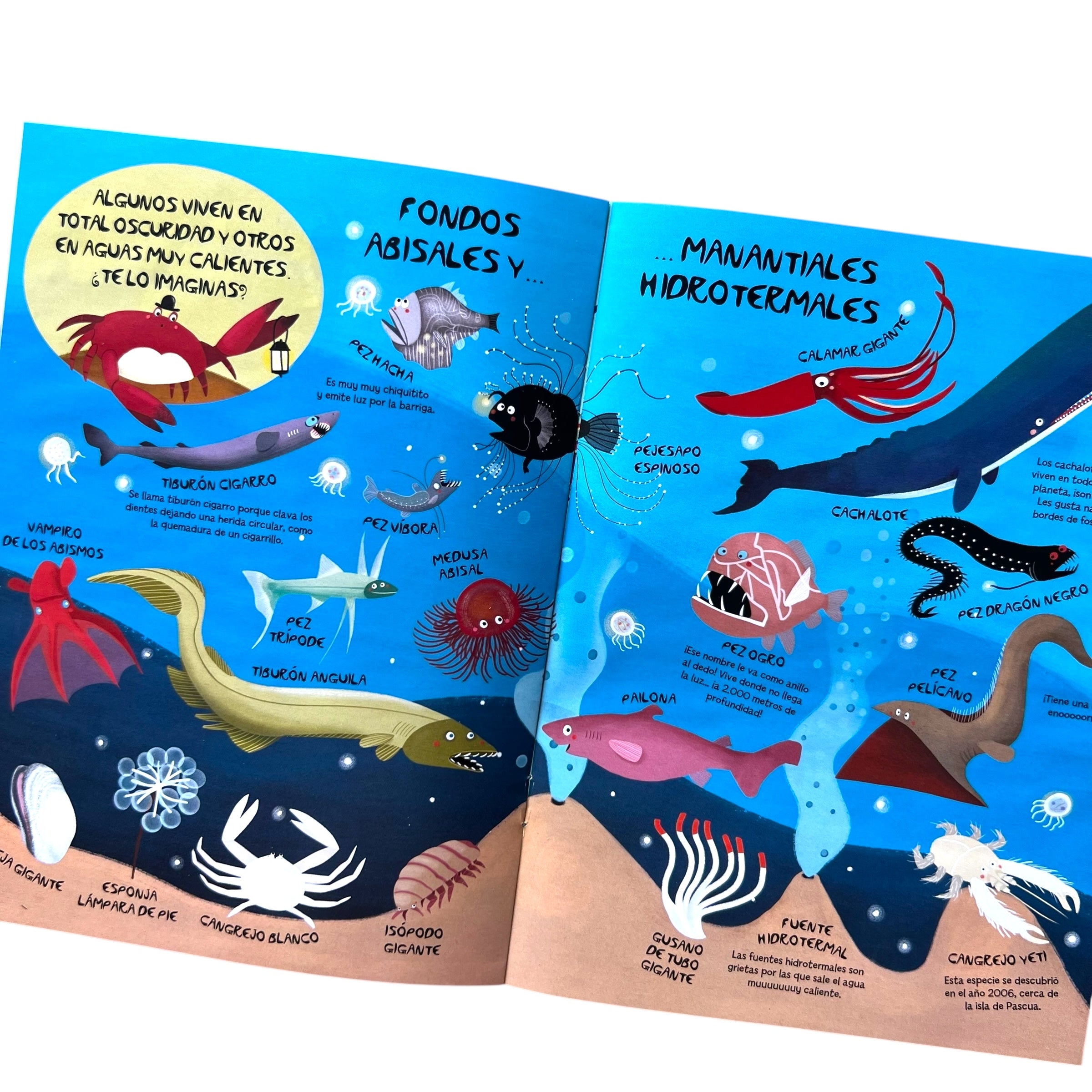 Libro magnético con 3 rompecabezas