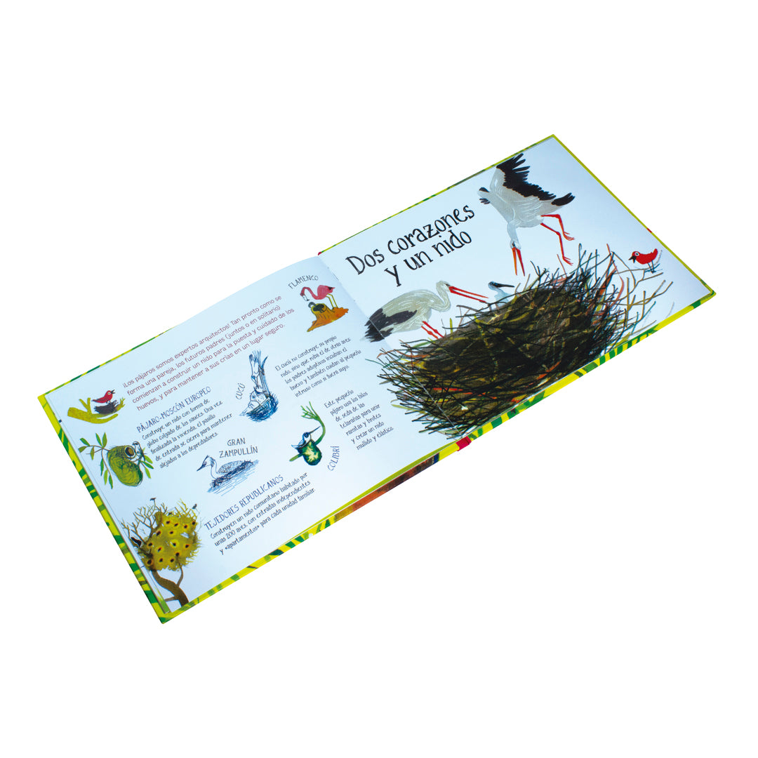 Libro - Te presento a mi familia: AVES Y PAJAROS