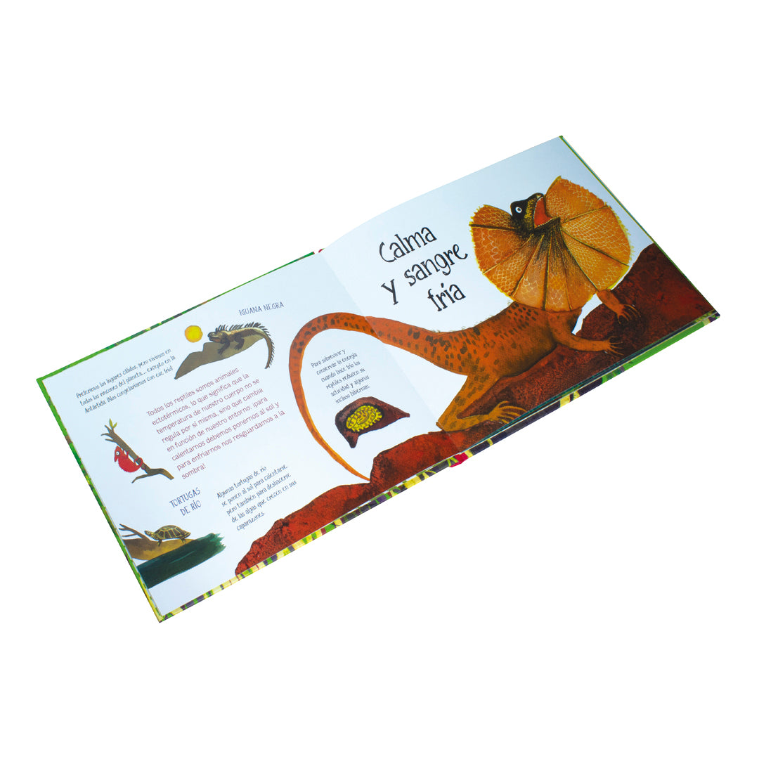 Libro - Te presento a mi familia : REPTILES