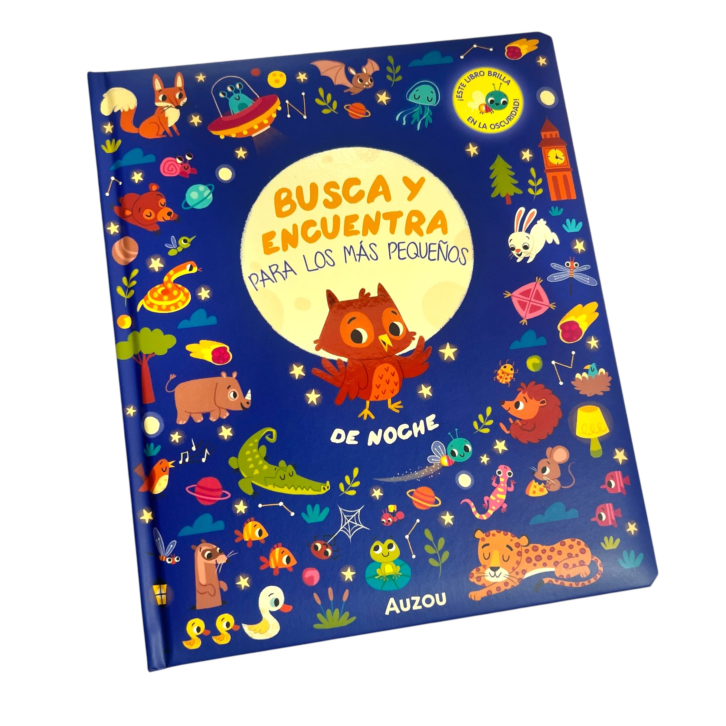 Busca y encuentra de noche